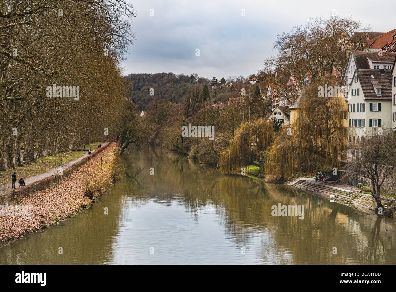 River Neckar view with typical German houses and the Neckarinsel island. Medieval buildings and leafless trees reflect on the water at the Neckarfront Stock Photo
