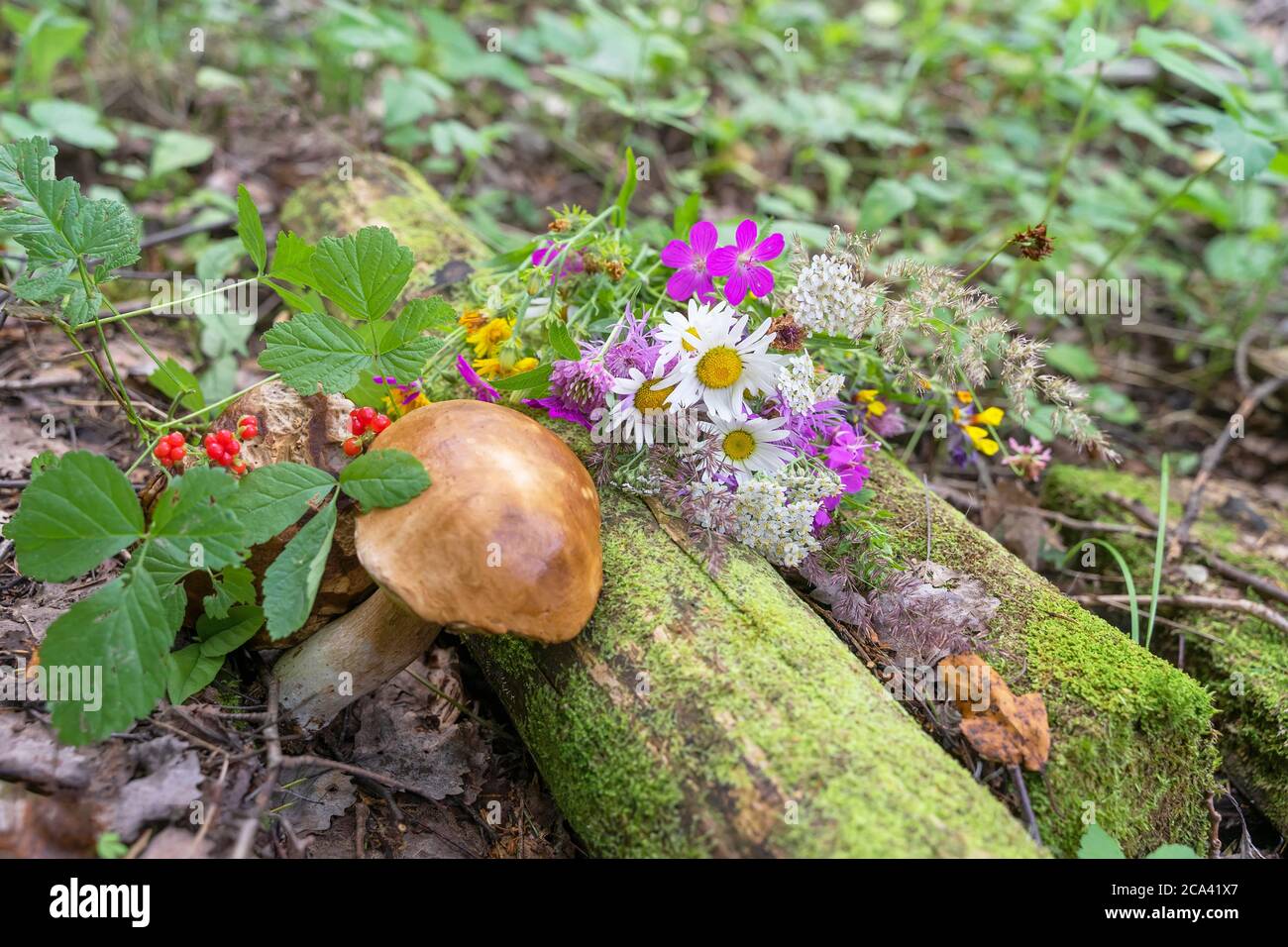 Forest still life, summer bouquet of flowers, mushrooms and berries