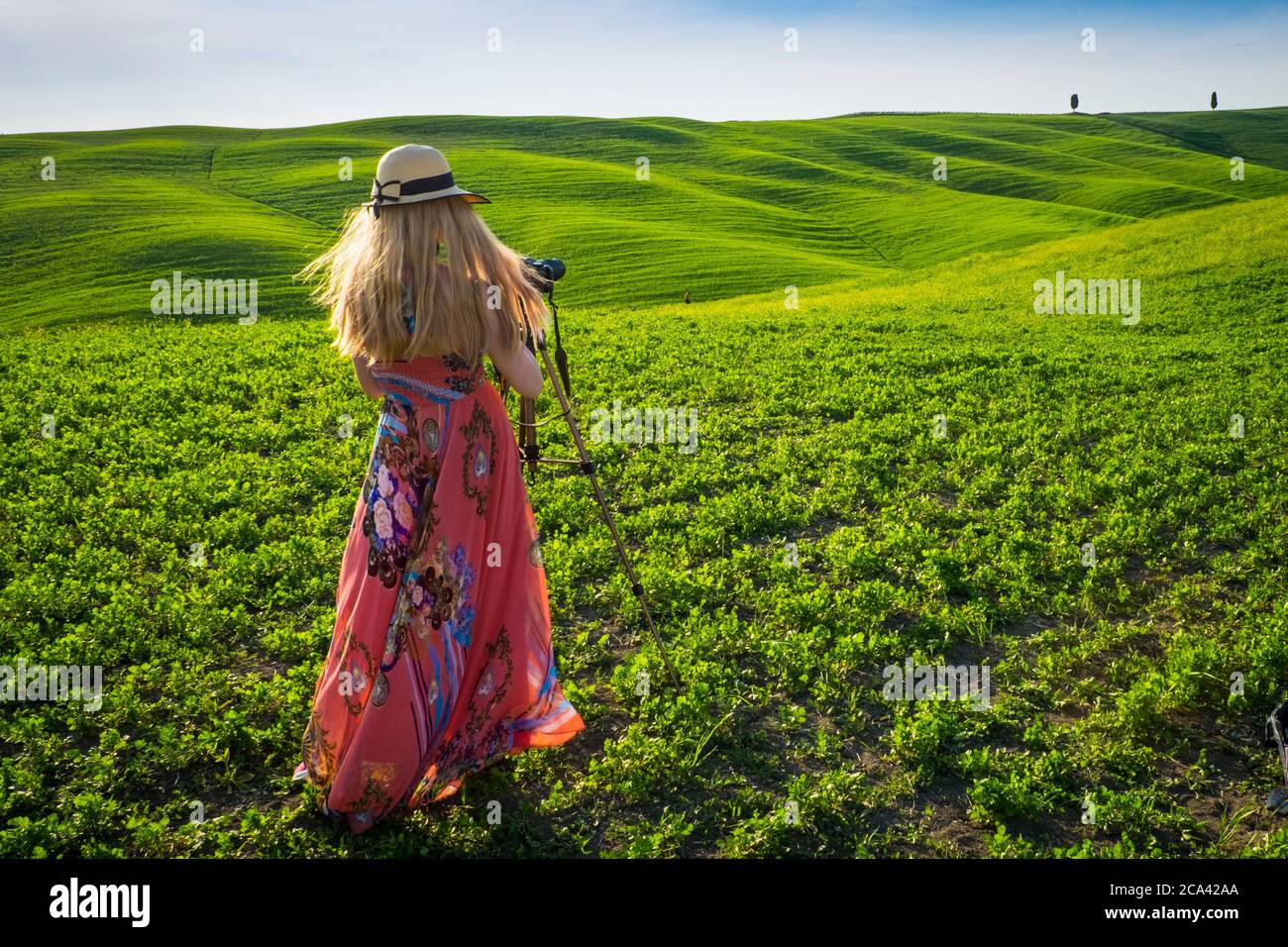 Orcia Valley, Siena district, Tuscany, Italy, Europe. Blonde woman with hat takes pictures in green fields. Stock Photo
