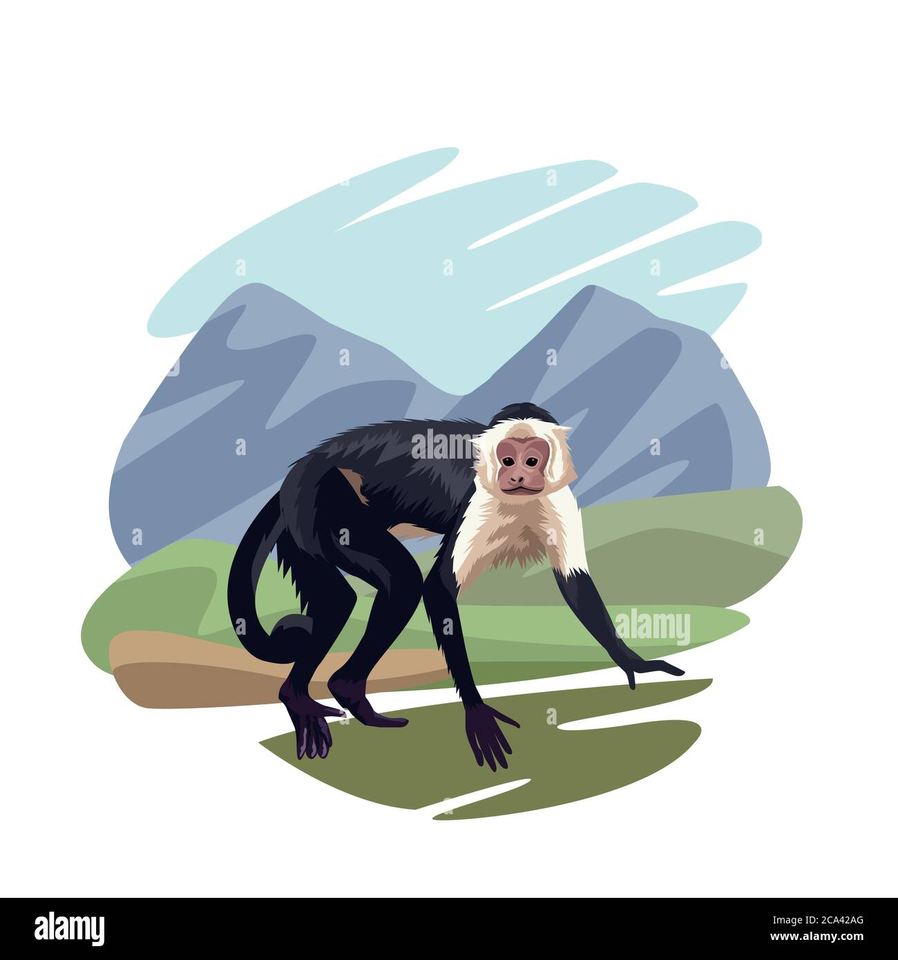 monkey animal wild in the jungle vector illustration design Stock ...