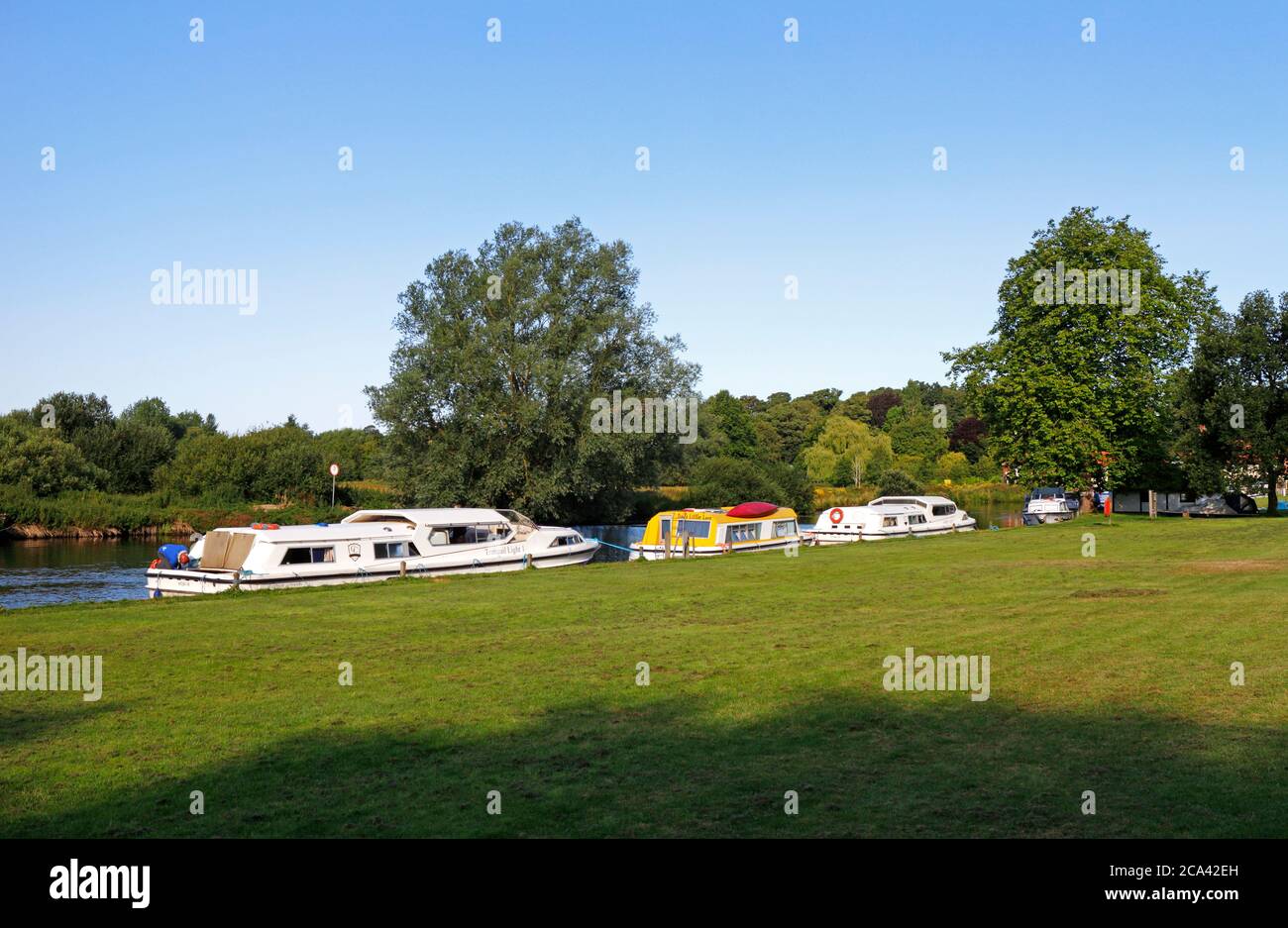 Cruisers at moorings at Coltishall Common on the River Bure on the Norfolk Broads at Coltishall, Norfolk, England, United Kingdom. Stock Photo