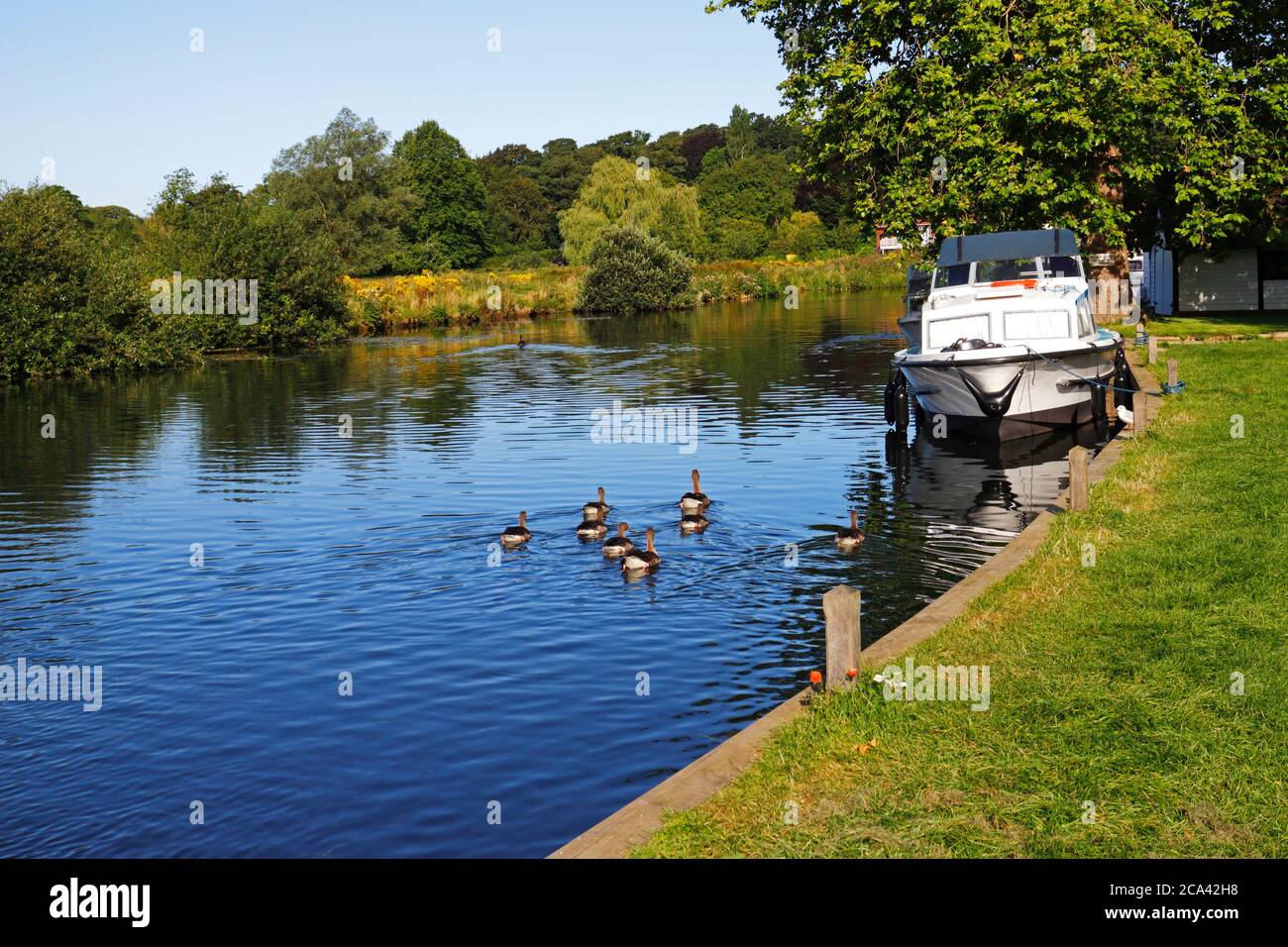 A view of the River Bure at Coltishall Common on the Norfolk Broads at Coltishall, Norfolk, England, United Kingdom. Stock Photo