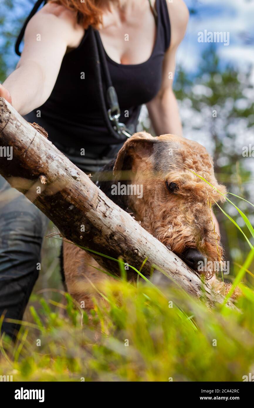 Woman and her dog playing in a forest Stock Photo