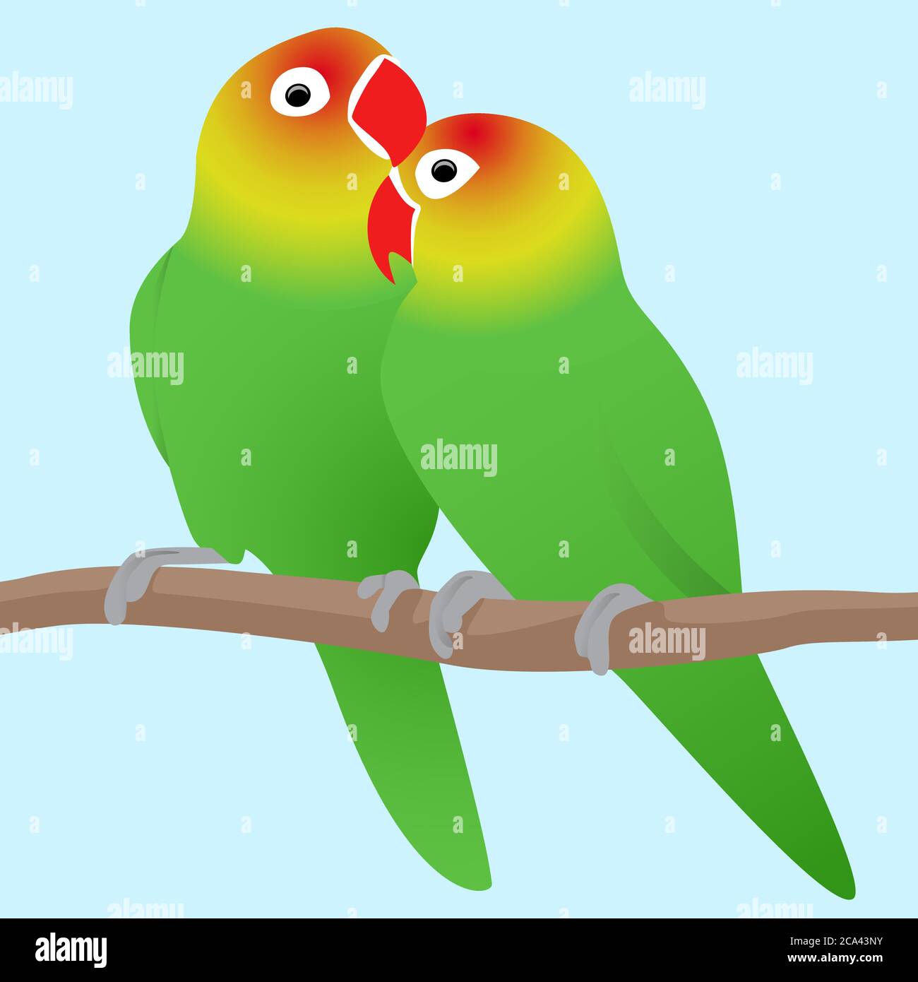 Vector illustration of lovebirds parrots. Love. Pair of birds. Stock Vector