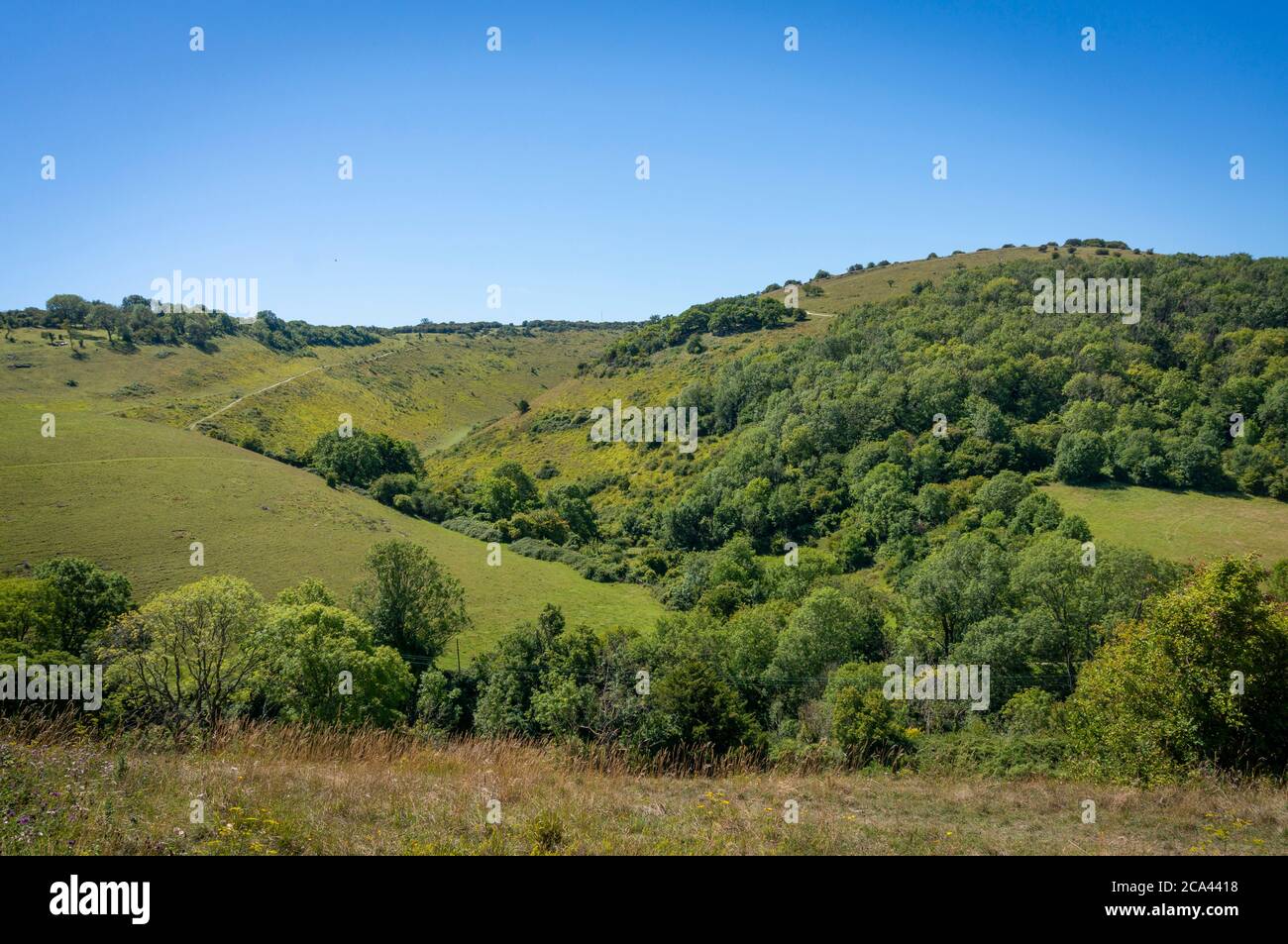 The Devil's Dyke on the South Downs, West Sussex, UK Stock Photo