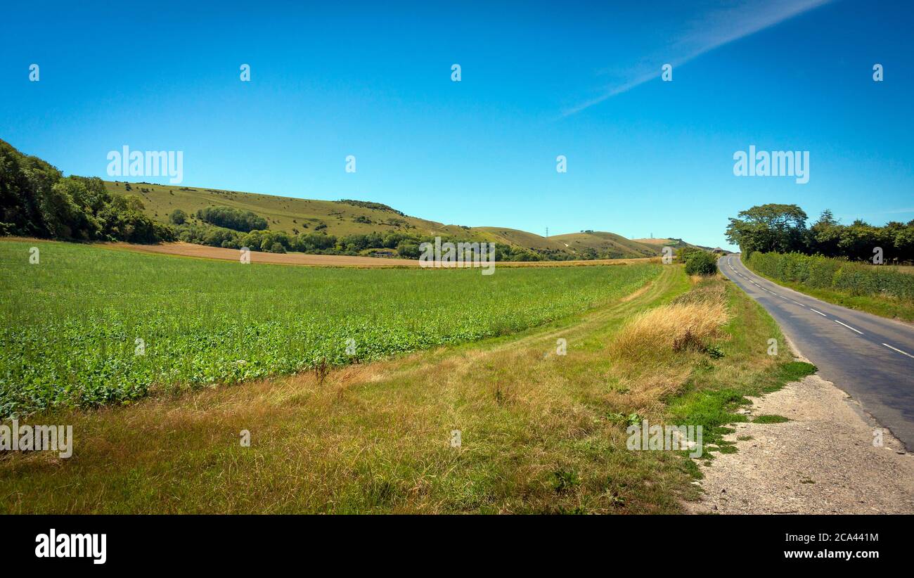 A country lane beneath the South Downs Way, West Sussex, UK Stock Photo