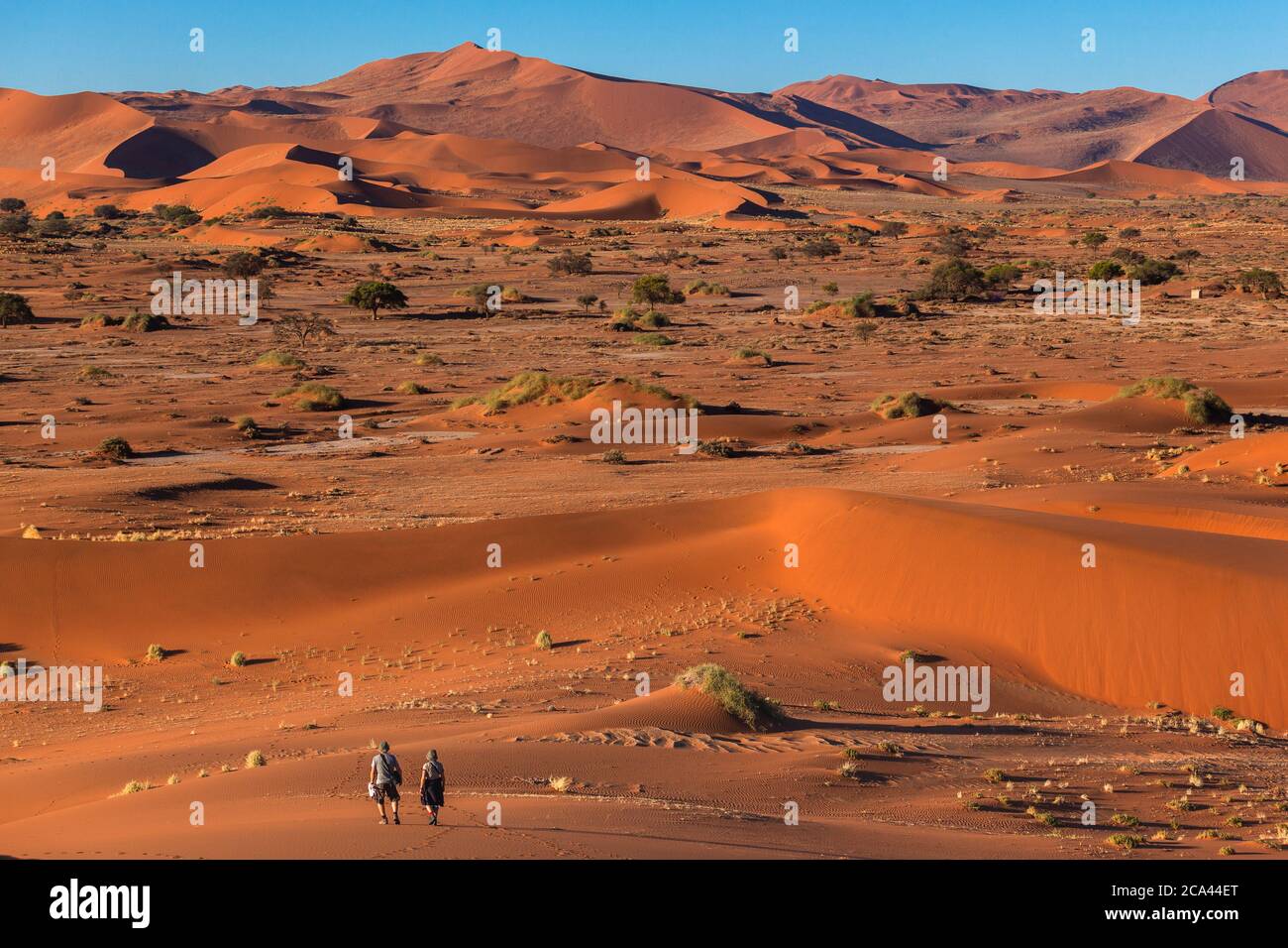 Tourists walking in Namib desert Sossusvlei Stock Photo - Alamy