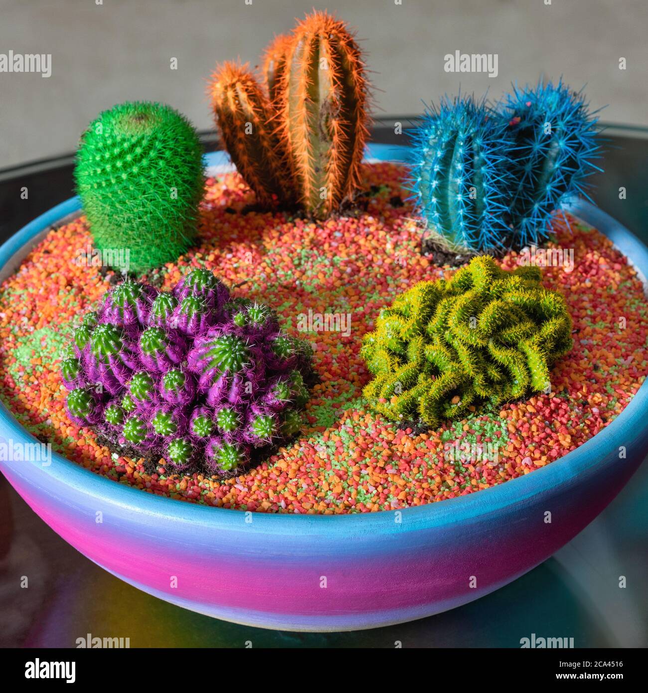 Beautiful colorful terrarium with succulent, cactus, flower, rock, sand inside Stock Photo