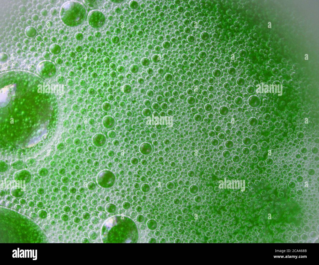 green detergent cleaner Stock Photo