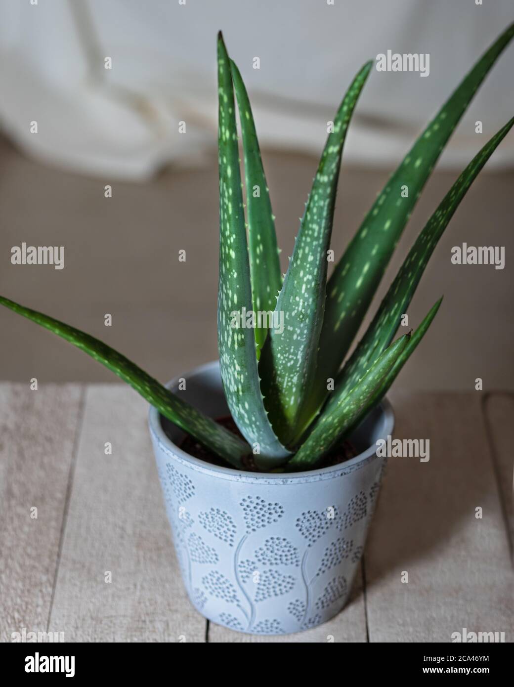 aloe vera reformhaus Arya Laya Fett-Feucht Balancer Aloe Vera 50 ml – Reformhaus Steinhart