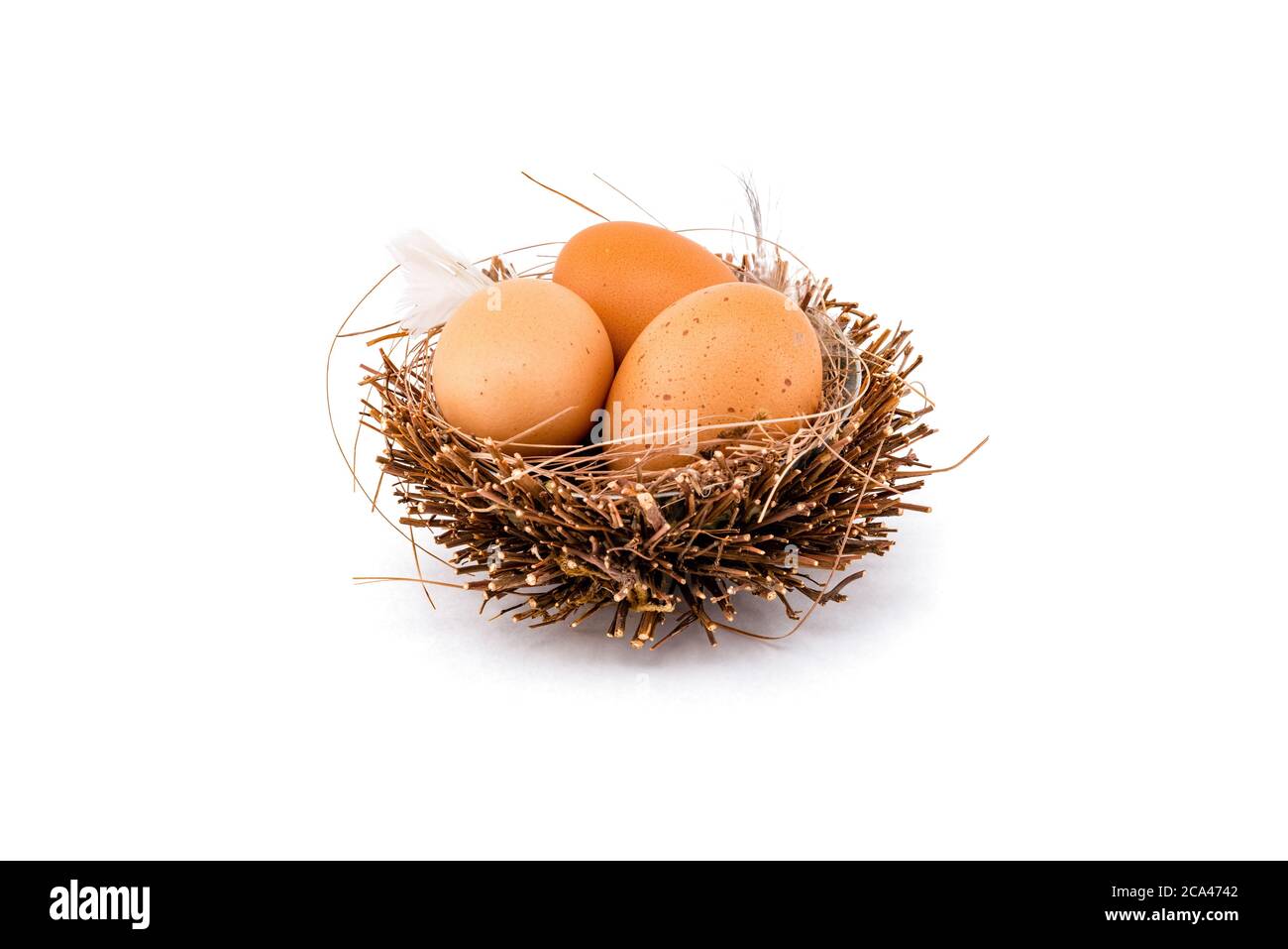 Three brown eggs in bird nest isolated on white background. Stock Photo