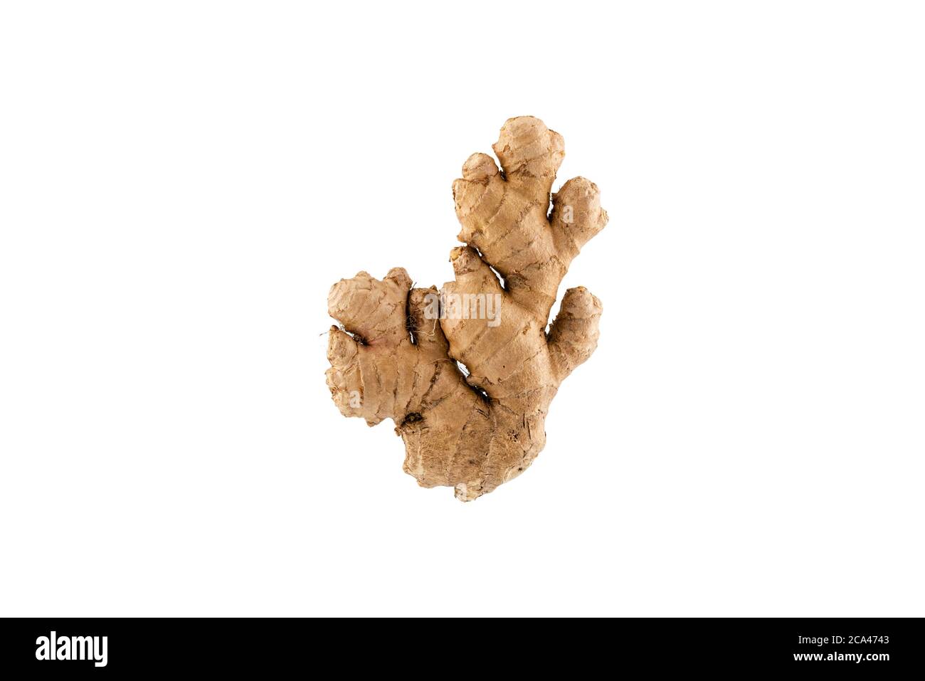 Root ginger isolated on a white background. Stock Photo