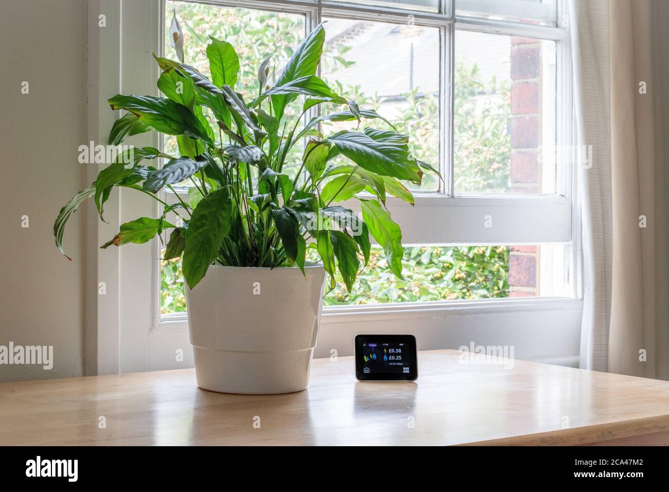 London / UK - August 04 2020: Energy efficiency home control system and monitor next to a plant in a beautifully designed home. Stock Photo