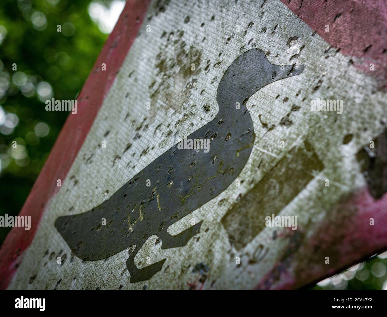 Duck crossing sign, old and weathered Stock Photo
