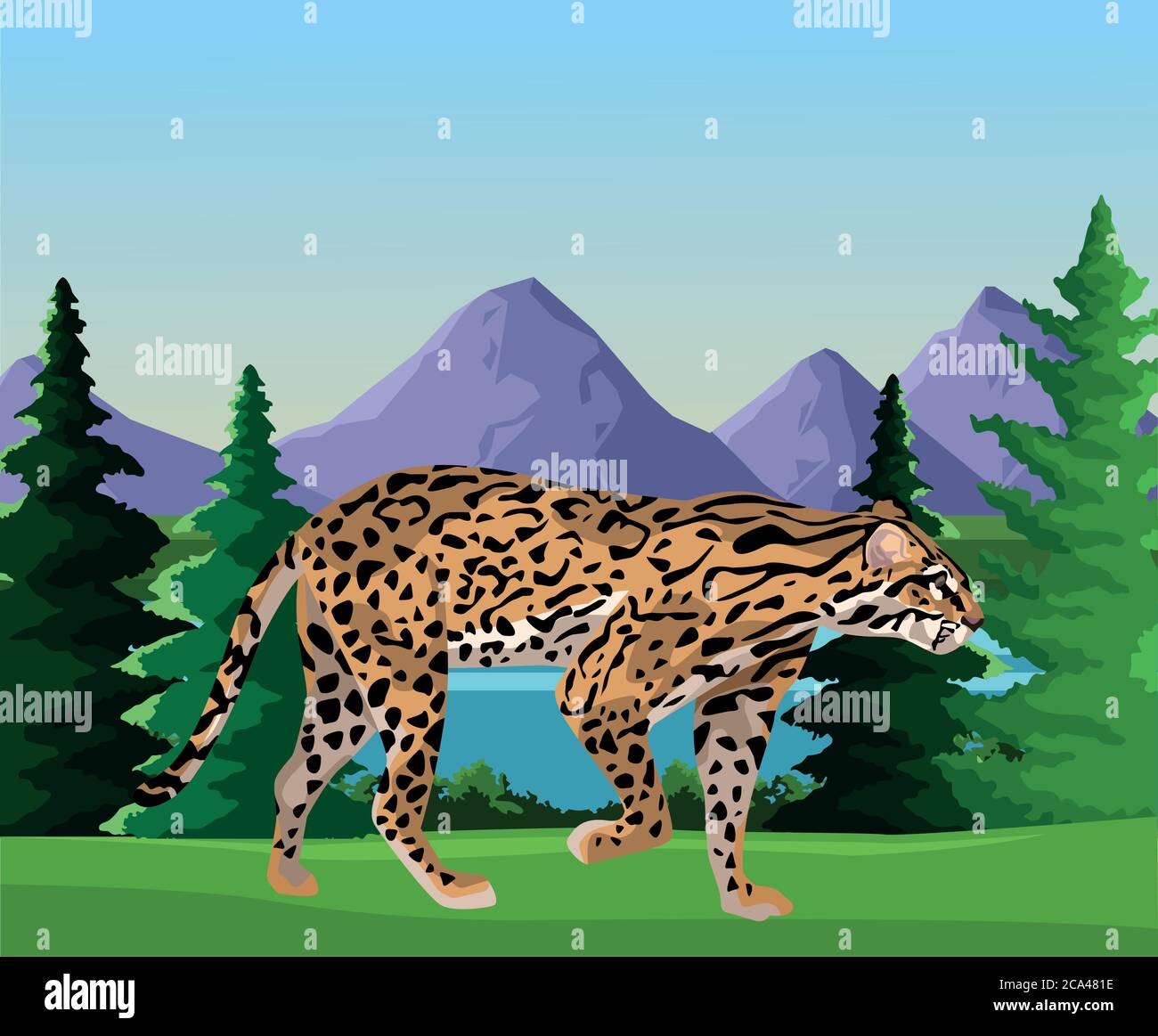 Land of the leopard Stock Vector Images - Alamy