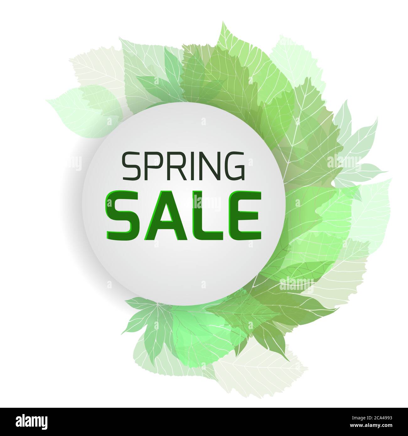 Banner for the spring sale with green leaves. Vector element for your design Stock Vector