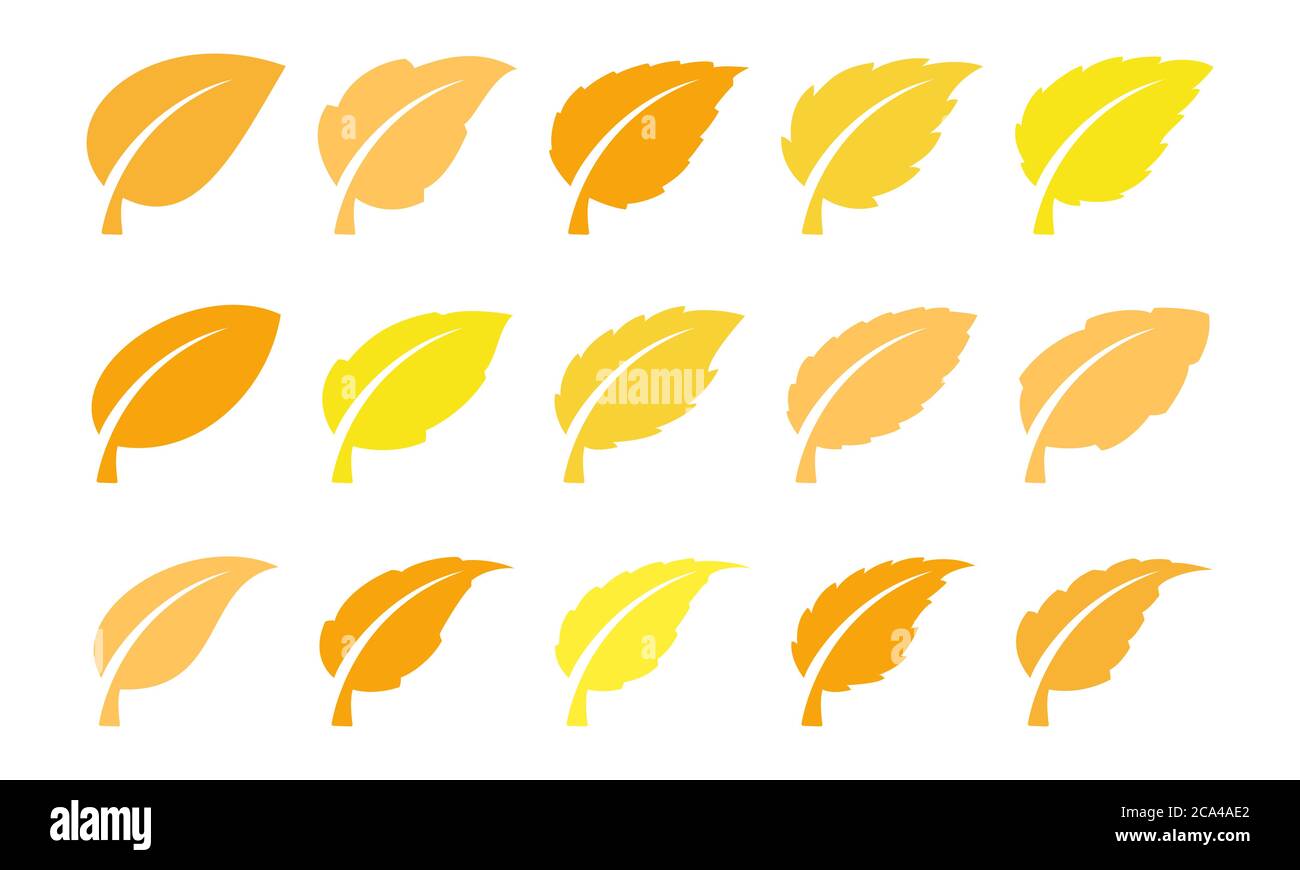 Autumn leaves set Stock Vector Image & Art - Alamy