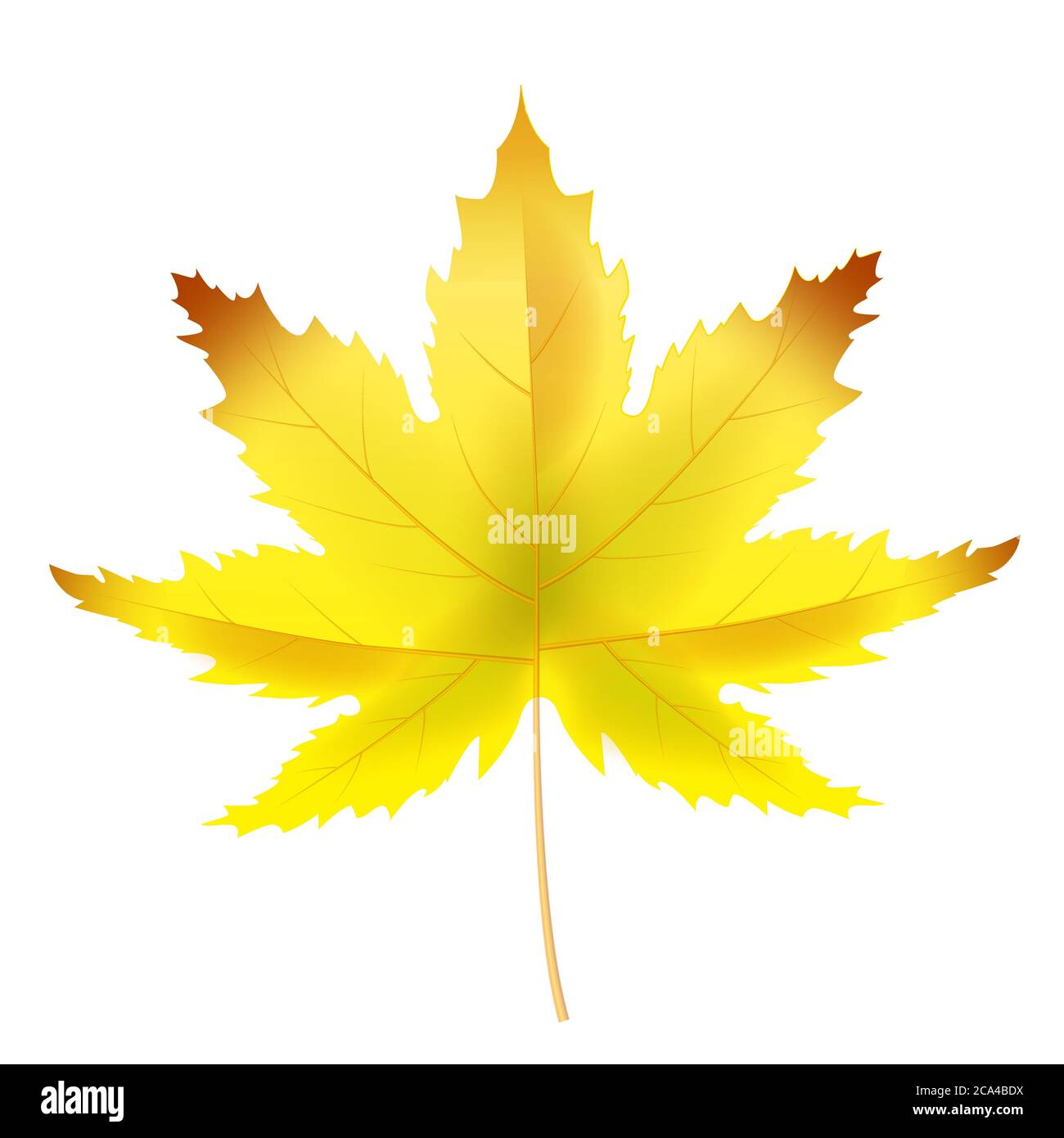 Golden brown leaf Stock Vector Images - Alamy