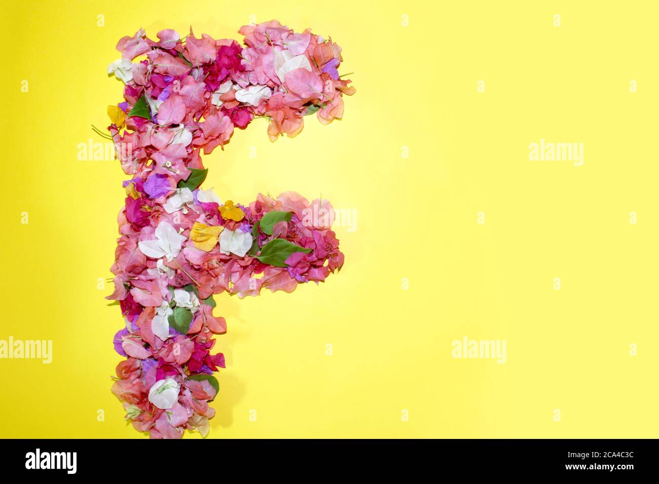 Floral Font Letter F High Resolution Stock Photography and Images - Alamy