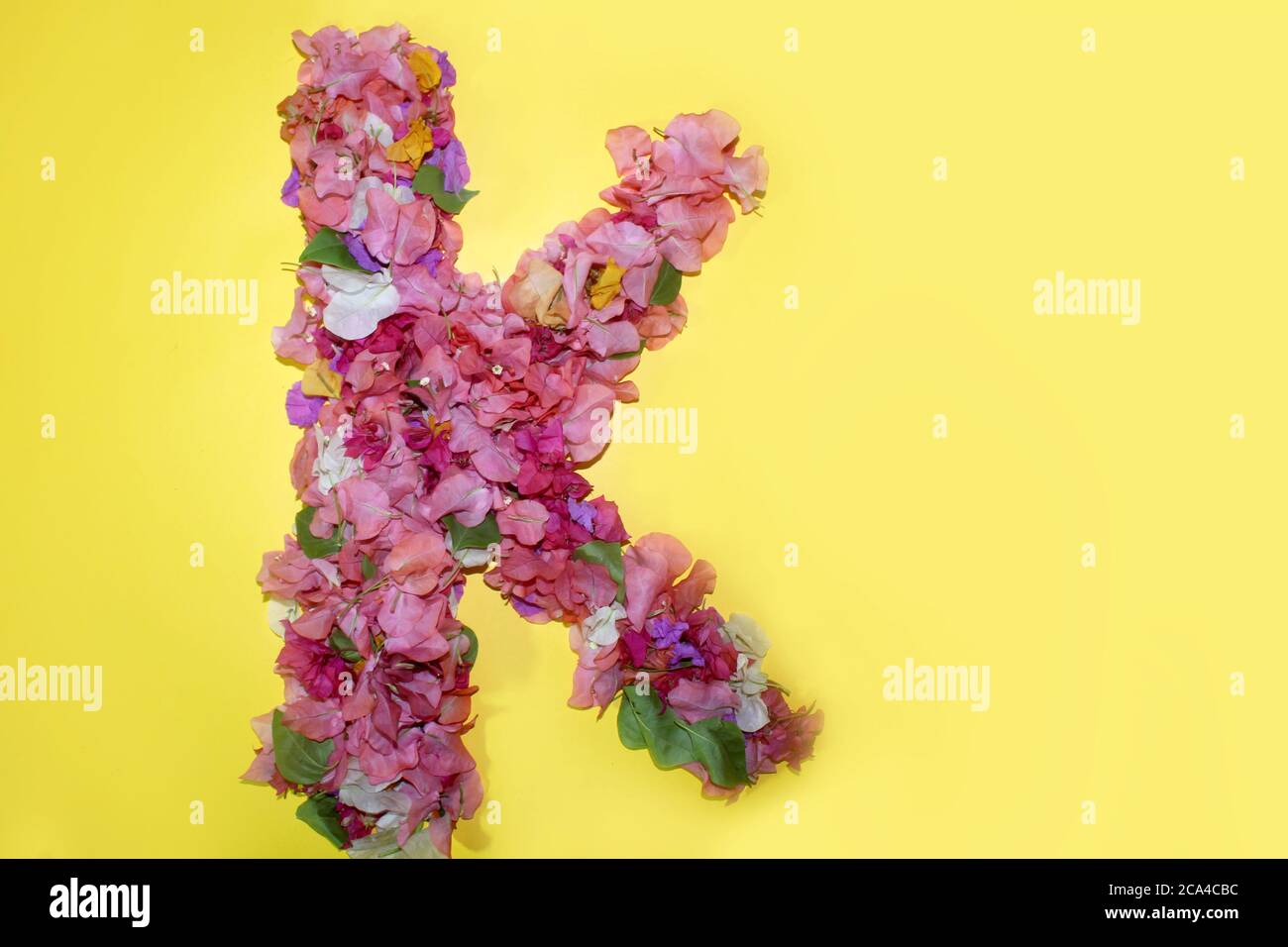letter k flower alphabet, made from colorful bougainvillea flowers