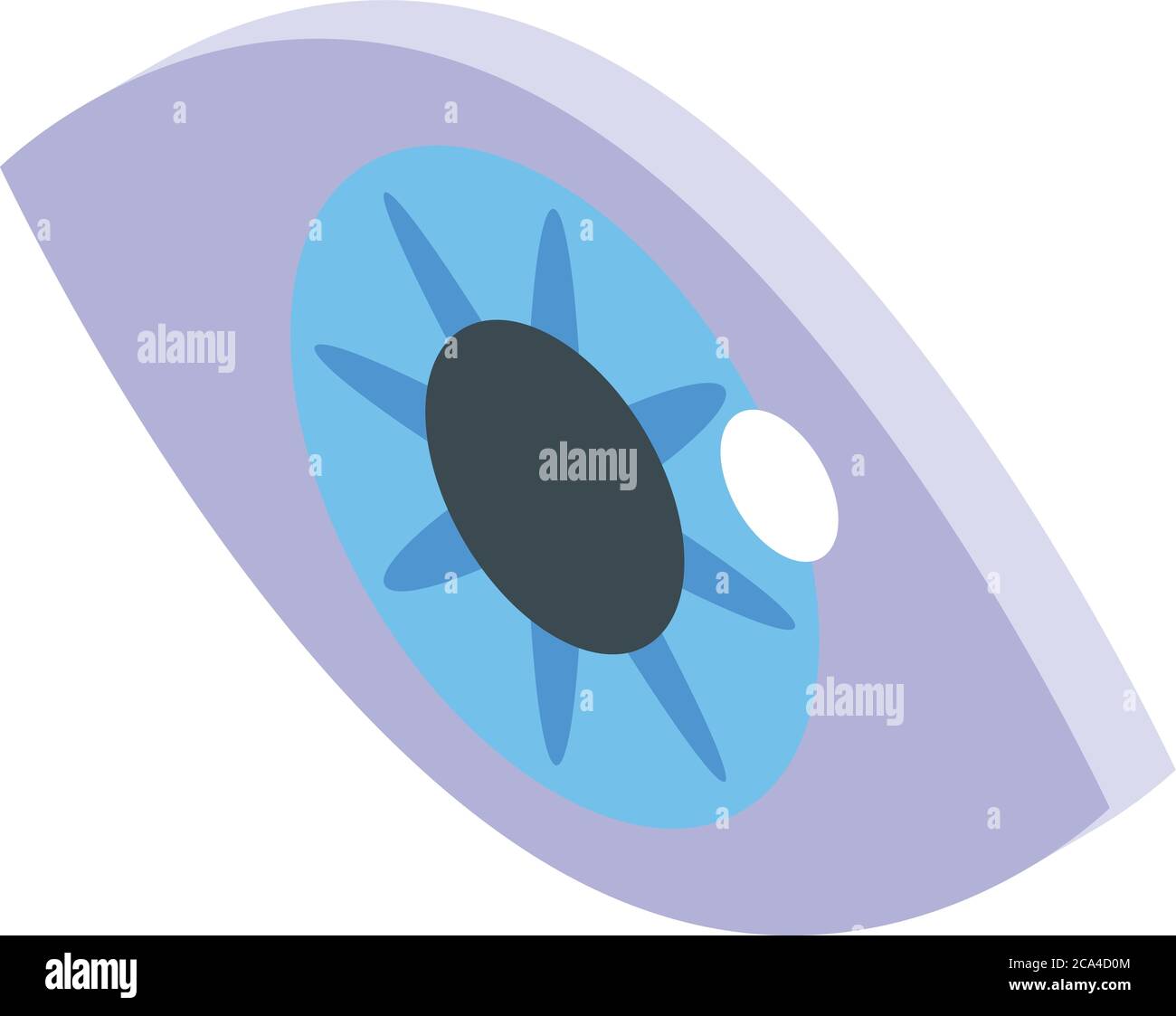 Iris eye authentication icon, isometric style Stock Vector