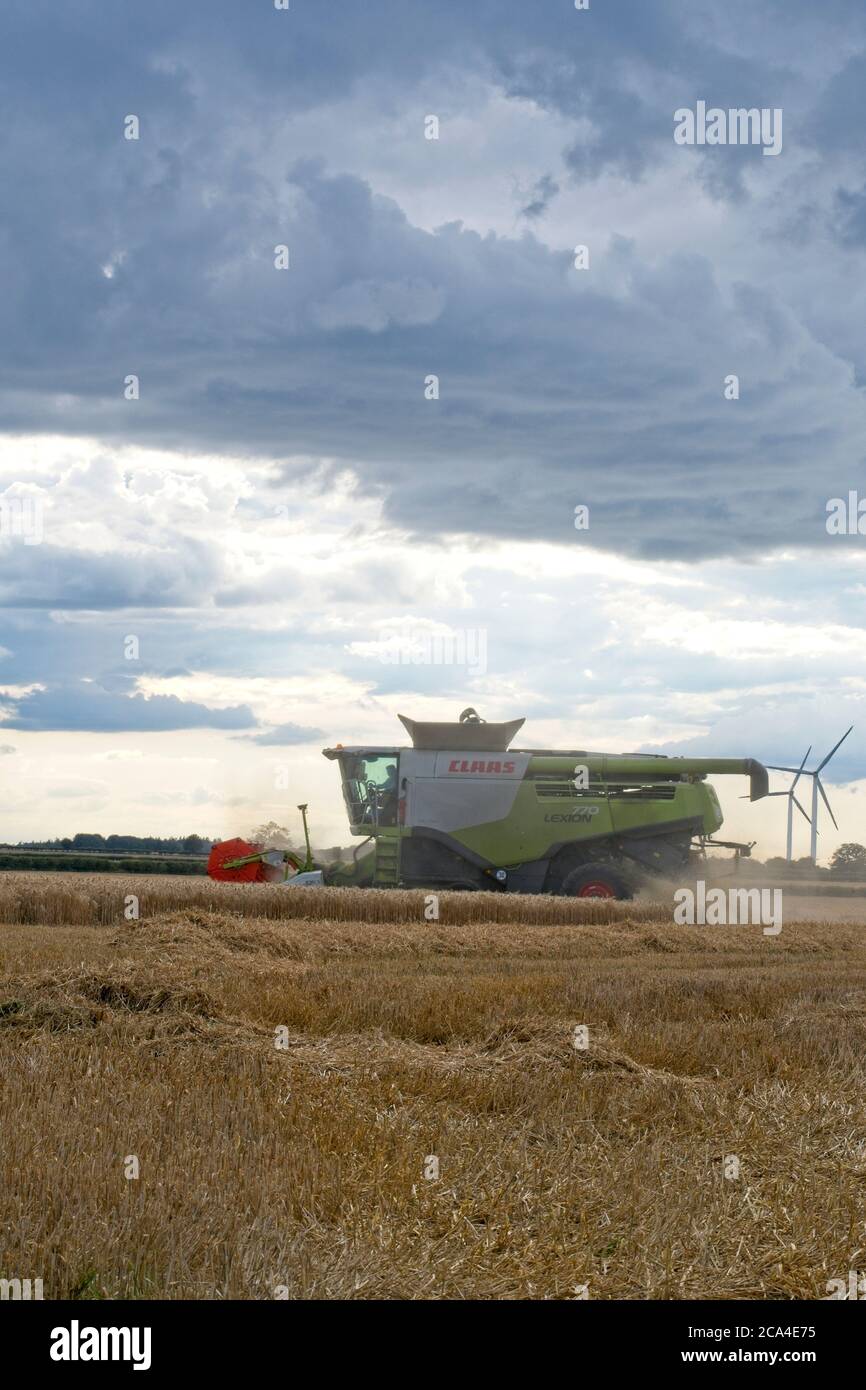 Winter Harvest Middle distance  side view of combined harvester machinery working in field gathering crop Cloudy sky Dust flying Portrait format Stock Photo