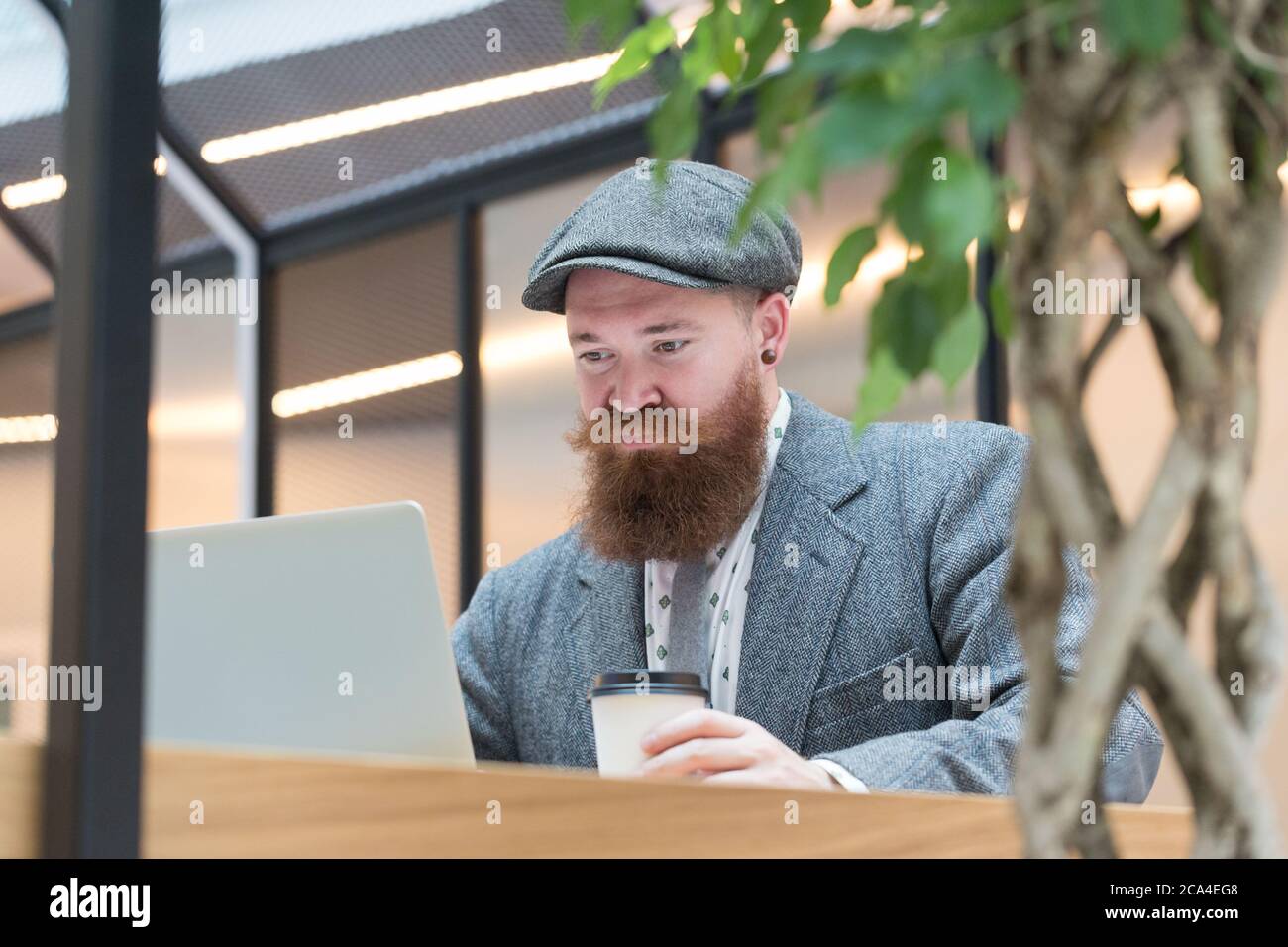 Portrait of brutal bearded hipster man wearing wool blazer, cap working on laptop sitting in cafe/ restaurant, drinking coffee from a paper cup, indoo Stock Photo