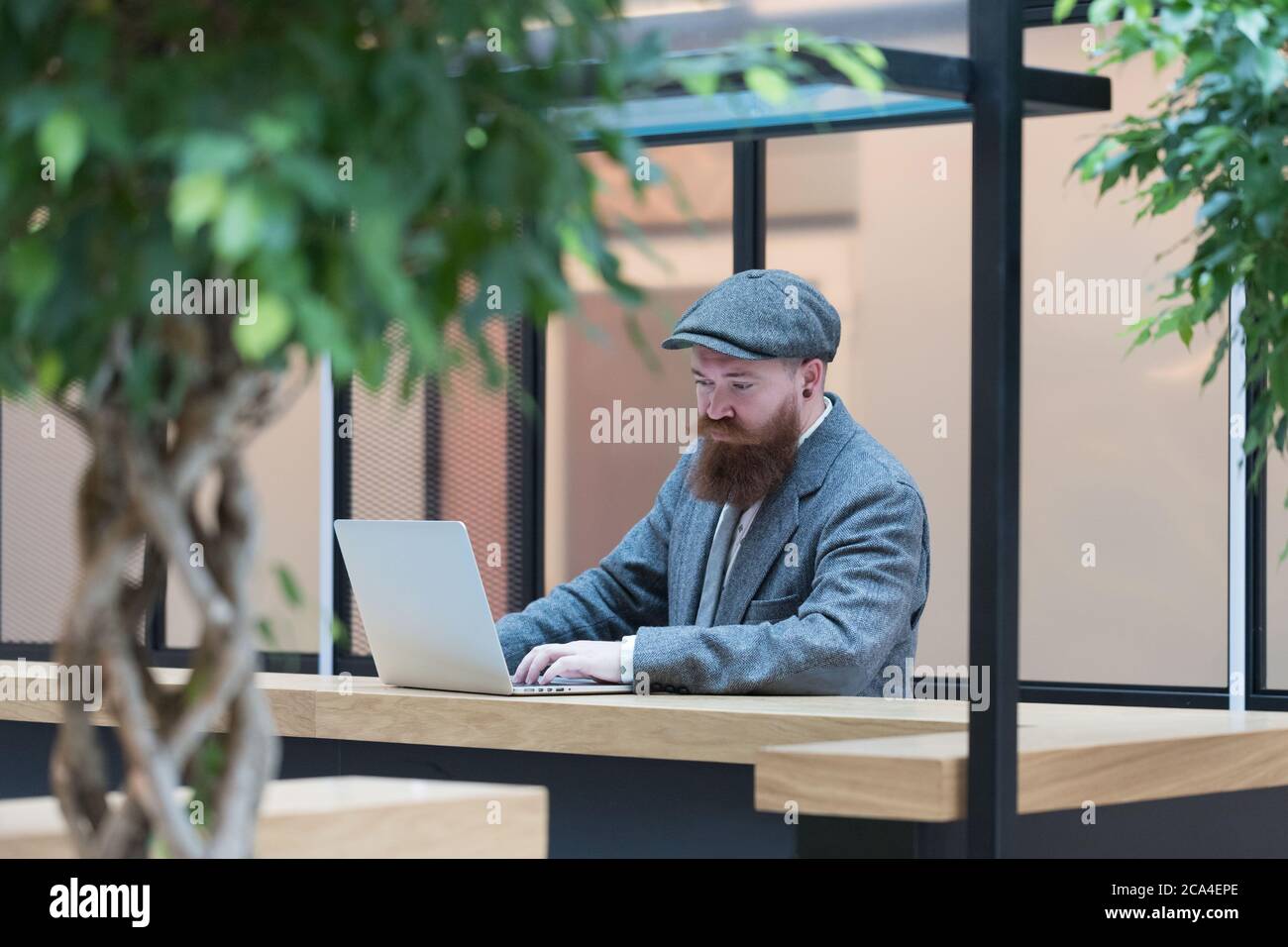 Portrait of brutal bearded hipster man wearing wool blazer, cap working on laptop sitting in cafe/ restaurant. Distance job, remote work. Stock Photo
