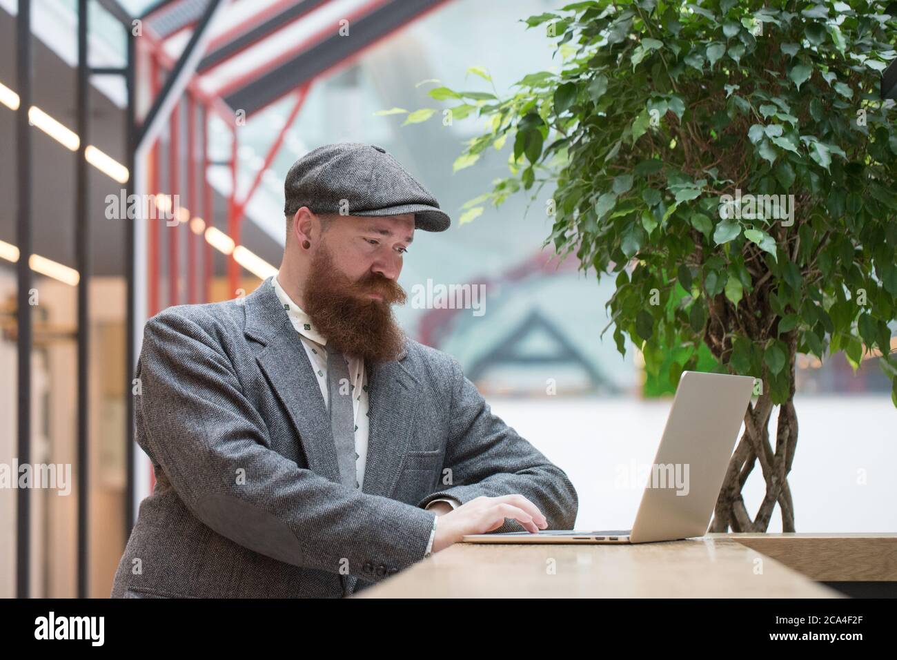 Portrait of brutal bearded hipster man wearing wool blazer, cap working on laptop sitting in cafe/ restaurant, indoor. Distance job, remote work Stock Photo