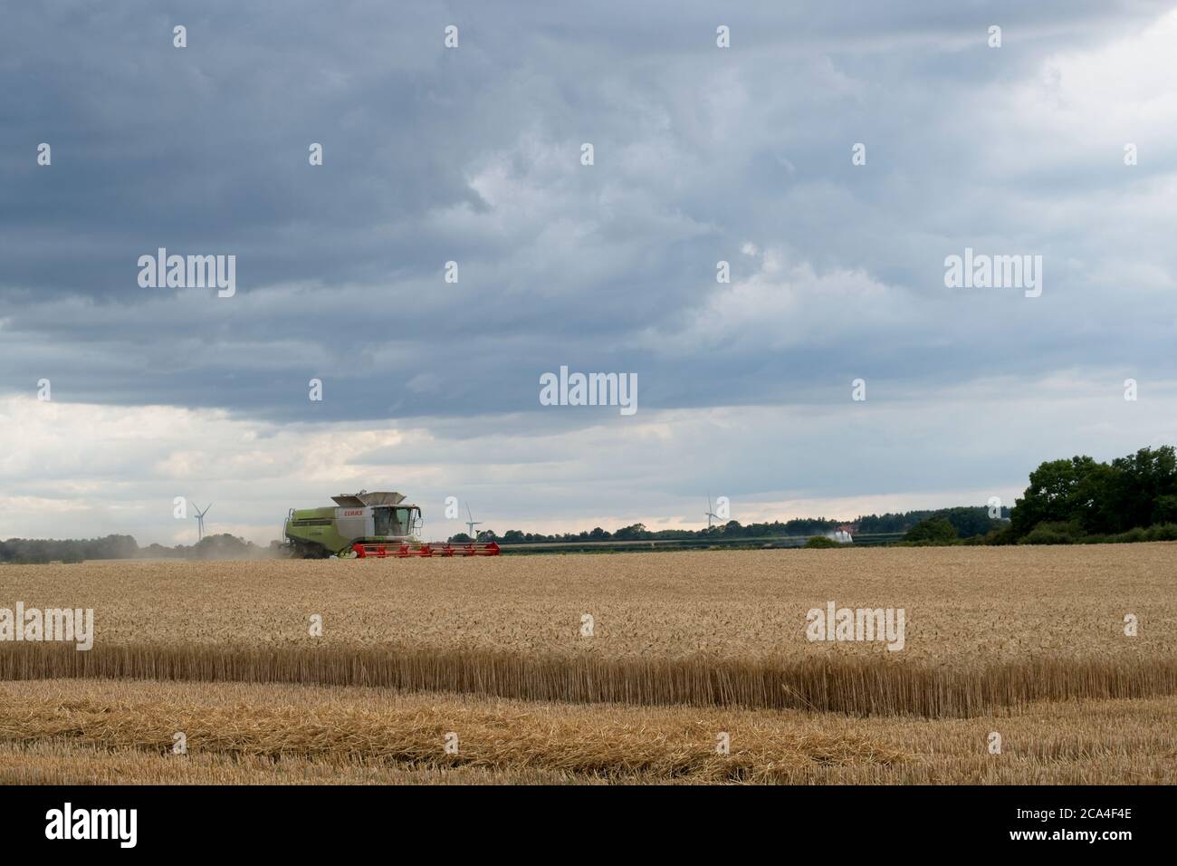 Winter Harvest combined harvester at work in field Moving left to right Distant view  Dusty Sunny cloudy sky Crop Trees Landscape format Stock Photo