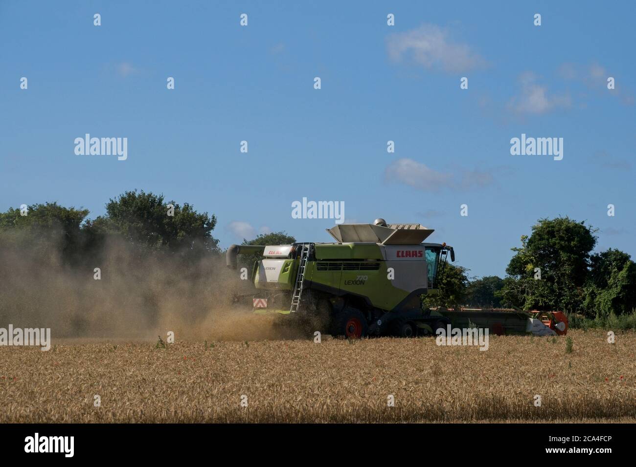 Winter Harvest Rear view of combined harvester at work in field Dusty Sunny cloudy blue sky Stubble in field Trees Landscape format Stock Photo