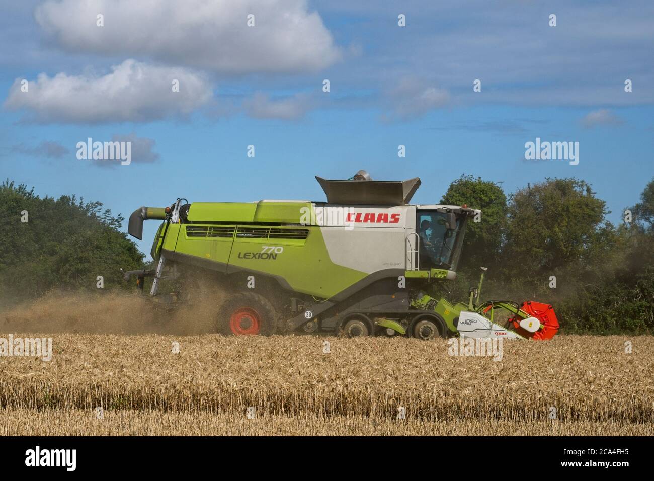 Winter Harvest combined harvester at work in field Dusty Sunny cloudy sky Fields Trees Landscape format Stock Photo