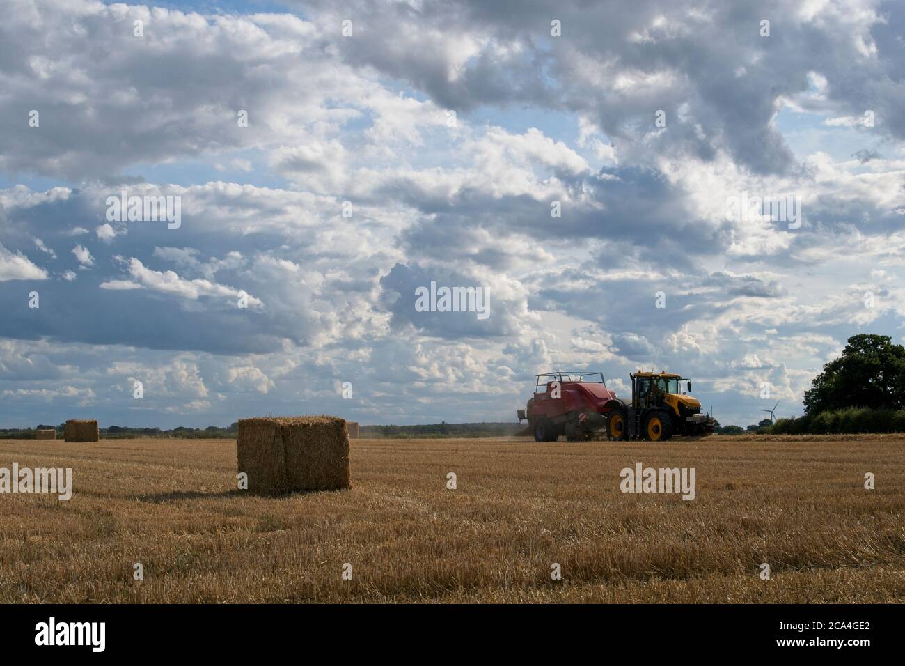 Baling after the harvest  Distant view of tractor towing bailer ejecting bale onto the ground Bales in foreground on stubble Landscape format Stock Photo