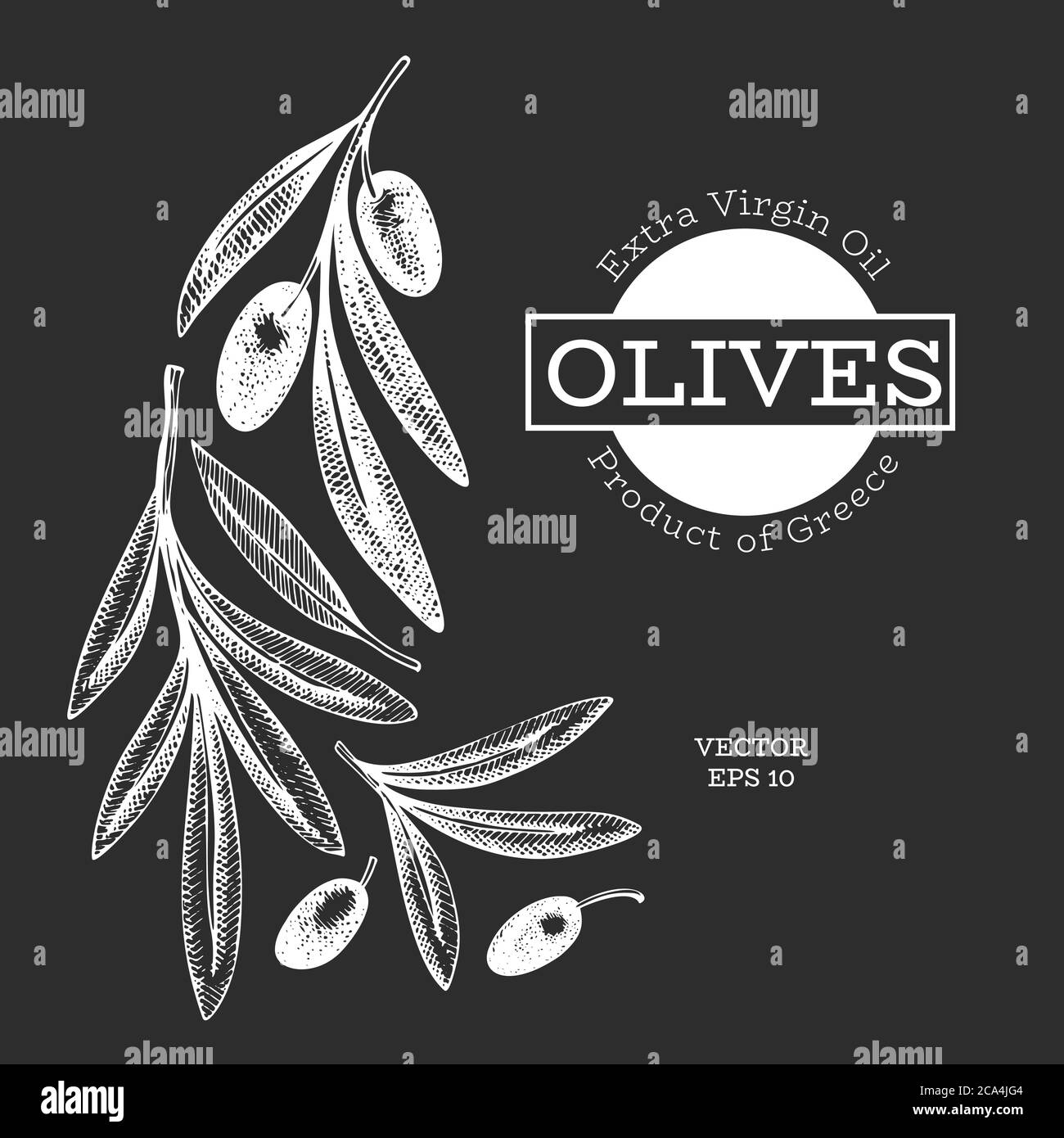 Olive branch illustration. Hand drawn vector food illustration on chalk ...