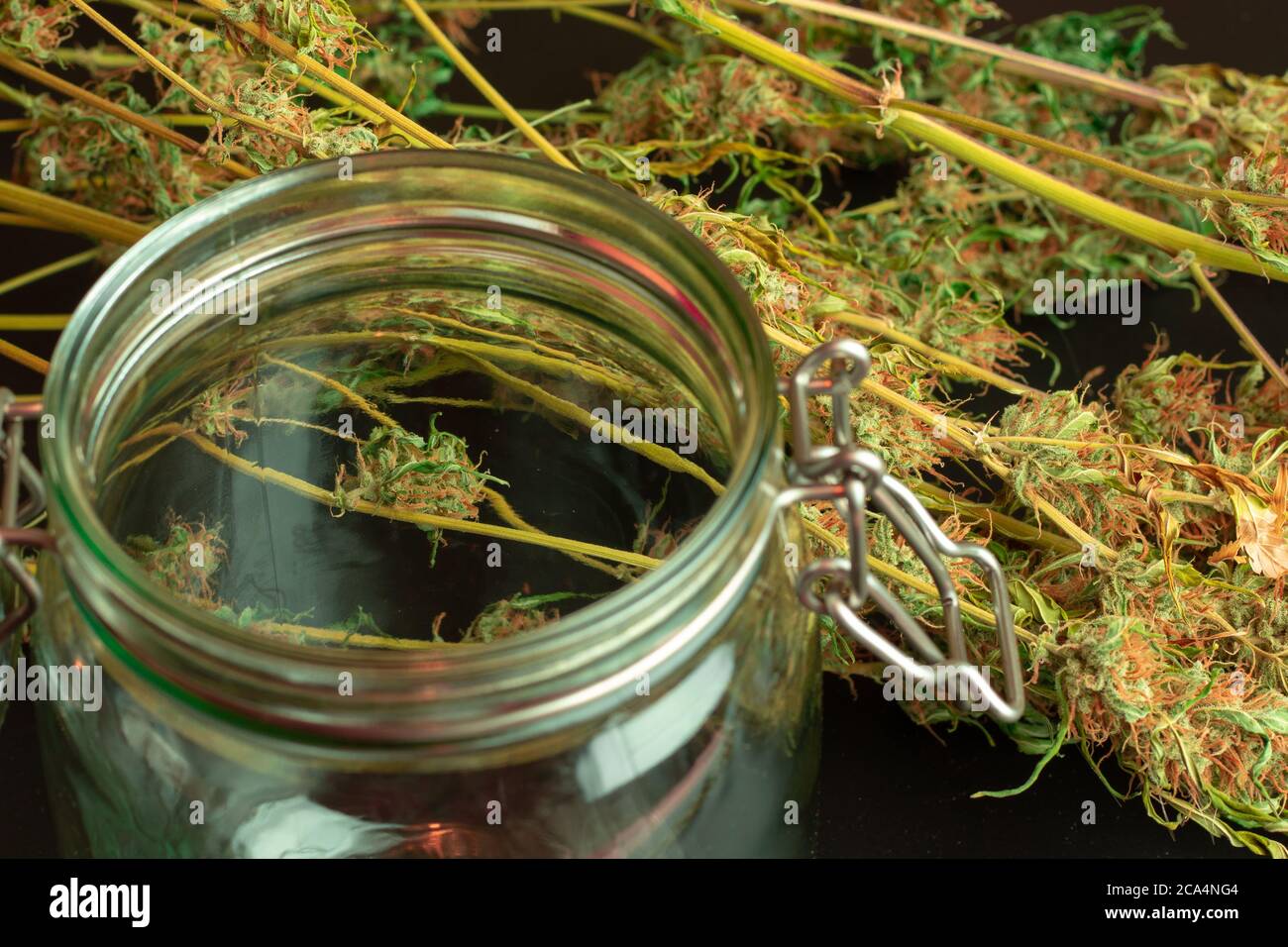 Cannabis or Marijuana Business Industry concept illustration. Weed plants with buds on blurry background. Open empty glass jar Stock Photo