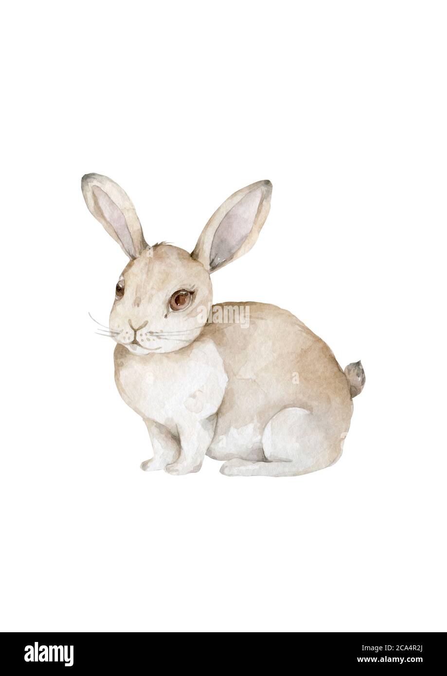 Watercolor Bunny. Rabbit. Easter bunny. Cute animal. Wildlife on white background Stock Photo