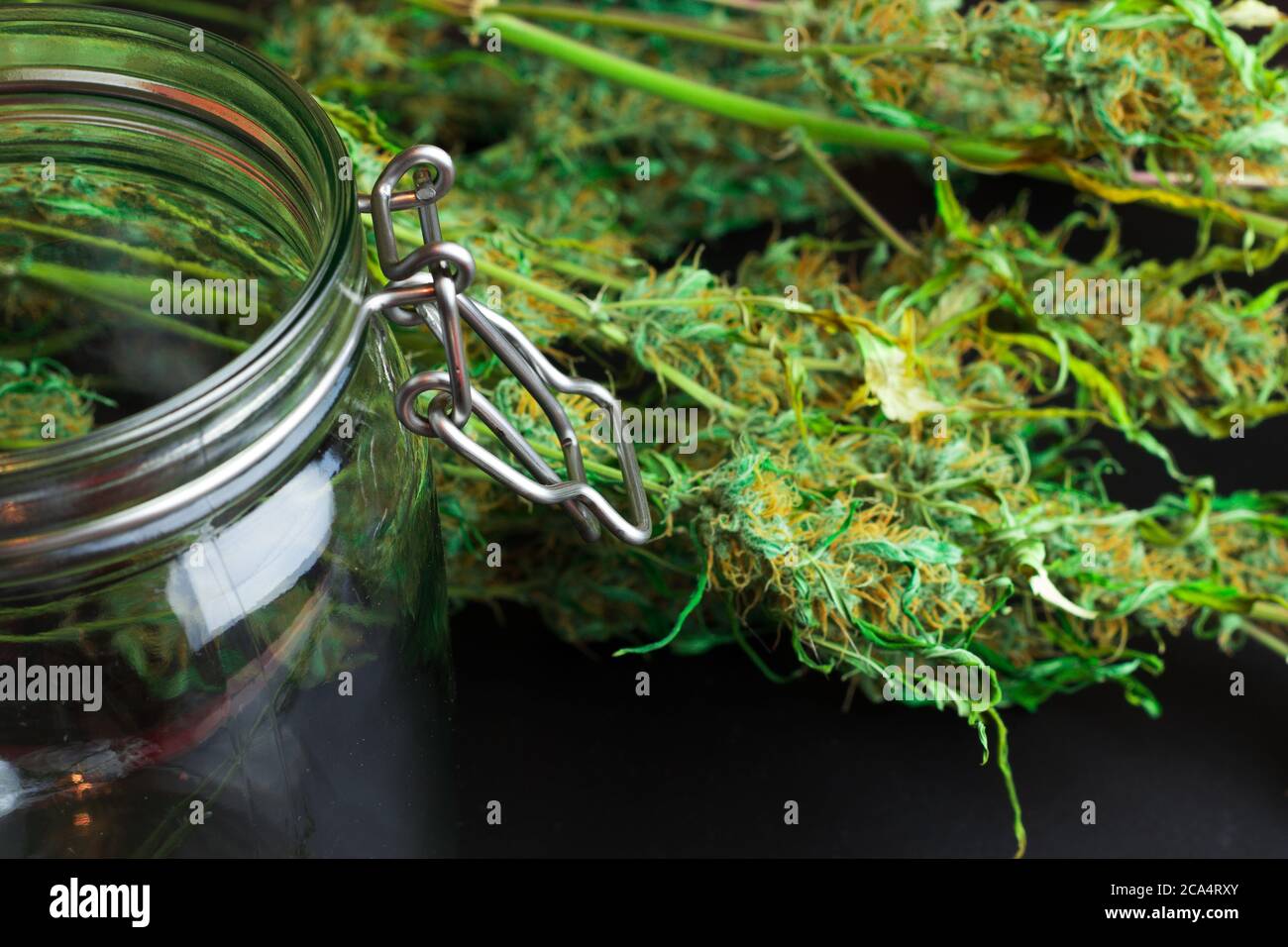 Open empty glass jar and a lot of cannabis marijuana on background. Weed industry concept Stock