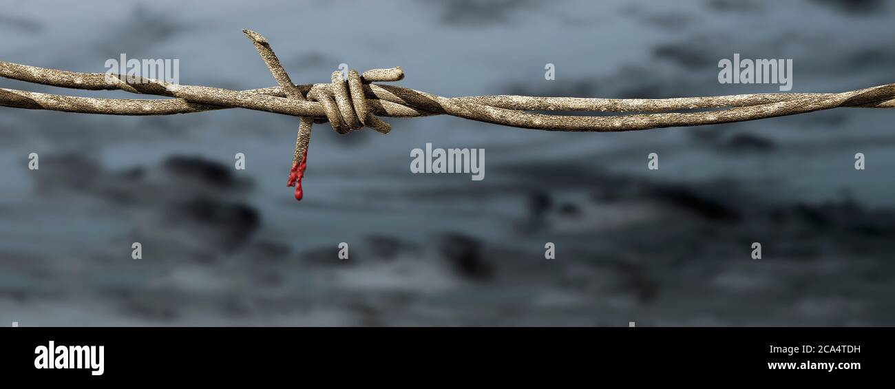 Blood drop falling from barbed wire Stock Photo