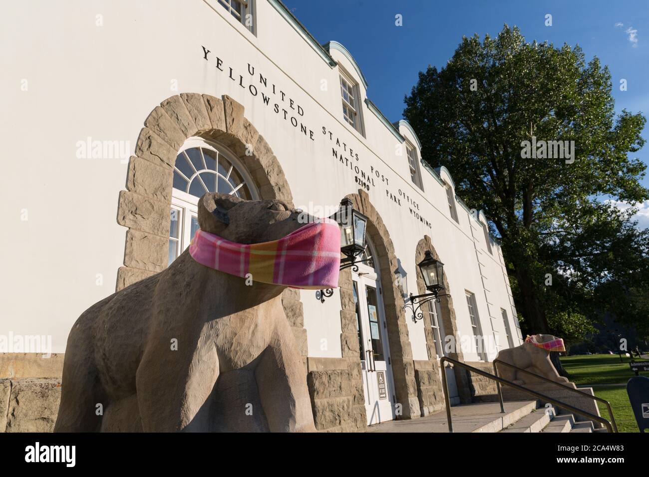 Bear sculptures at Yellowstone National Park’s post office wear face masks on Sunday, August 2, 2020. The park recently reported several positive cases of the COVID-19 virus among visitors and concessioners. Stock Photo