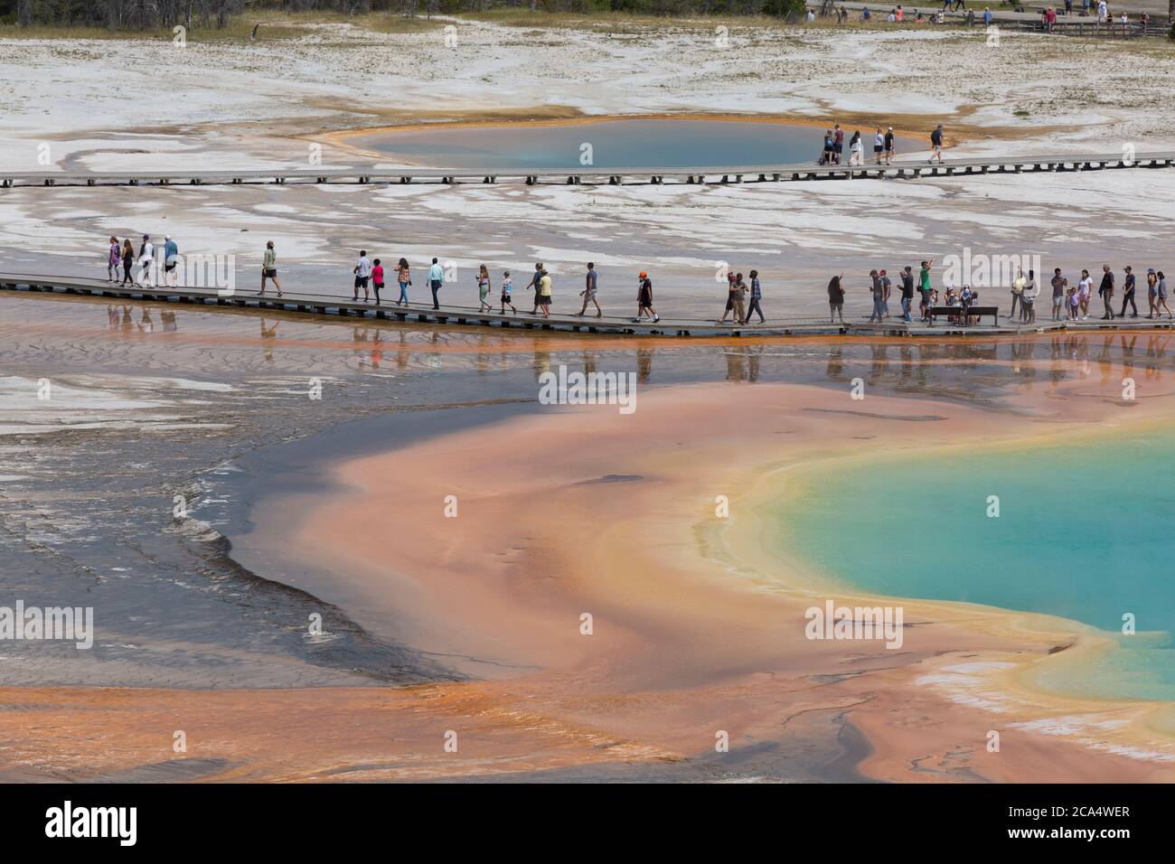 Visitors walk along the boardwalk at Grand Prismatic Spring on Monday, August 3, 2020. Many of the parks boardwalks have been made one-way in order to combat the transmission of the COVID-19 virus. The park recently reported several positive cases of the COVID-19 virus among visitors and concessioners. Stock Photo