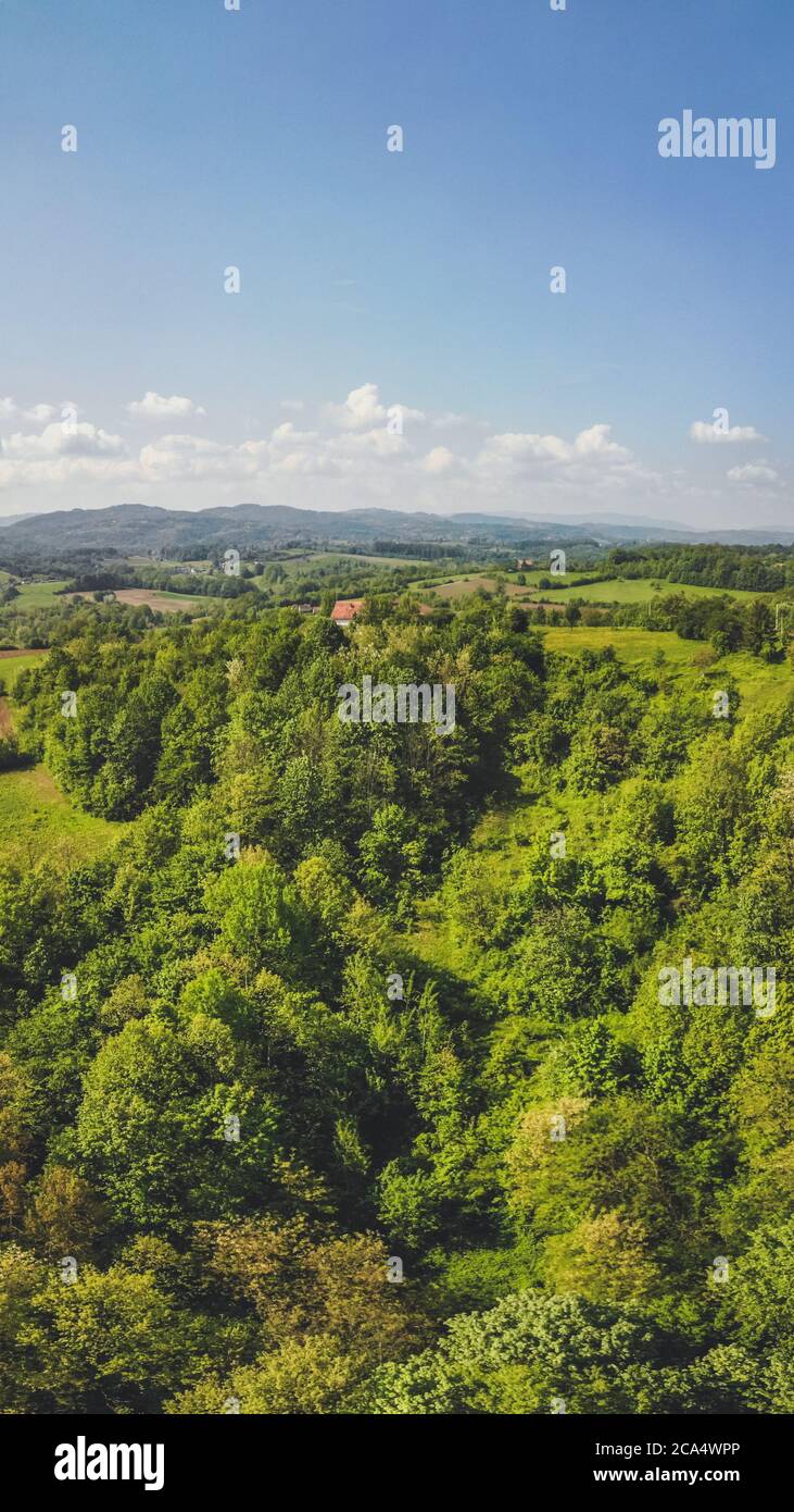 Drone top down aerial view of green forest on a hill Stock Photo - Alamy