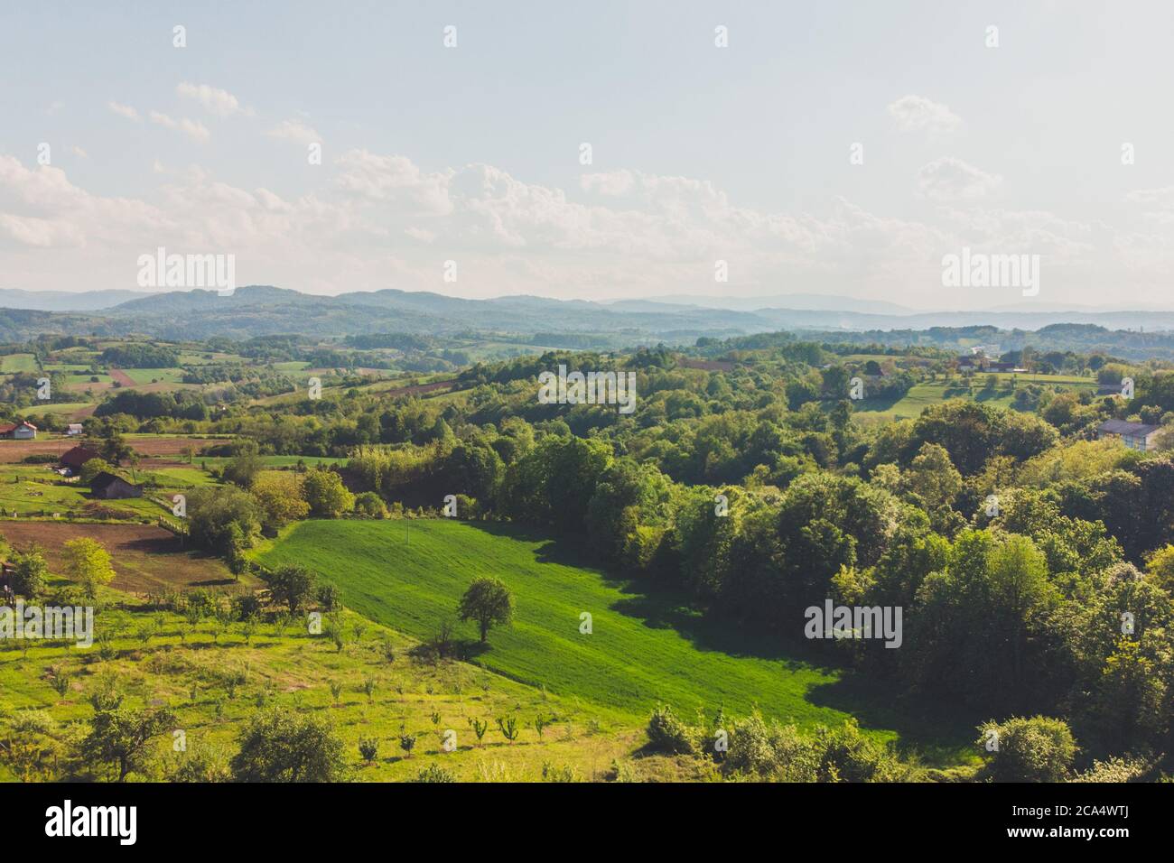 Drone top down aerial view of green forest on a hill Stock Photo - Alamy