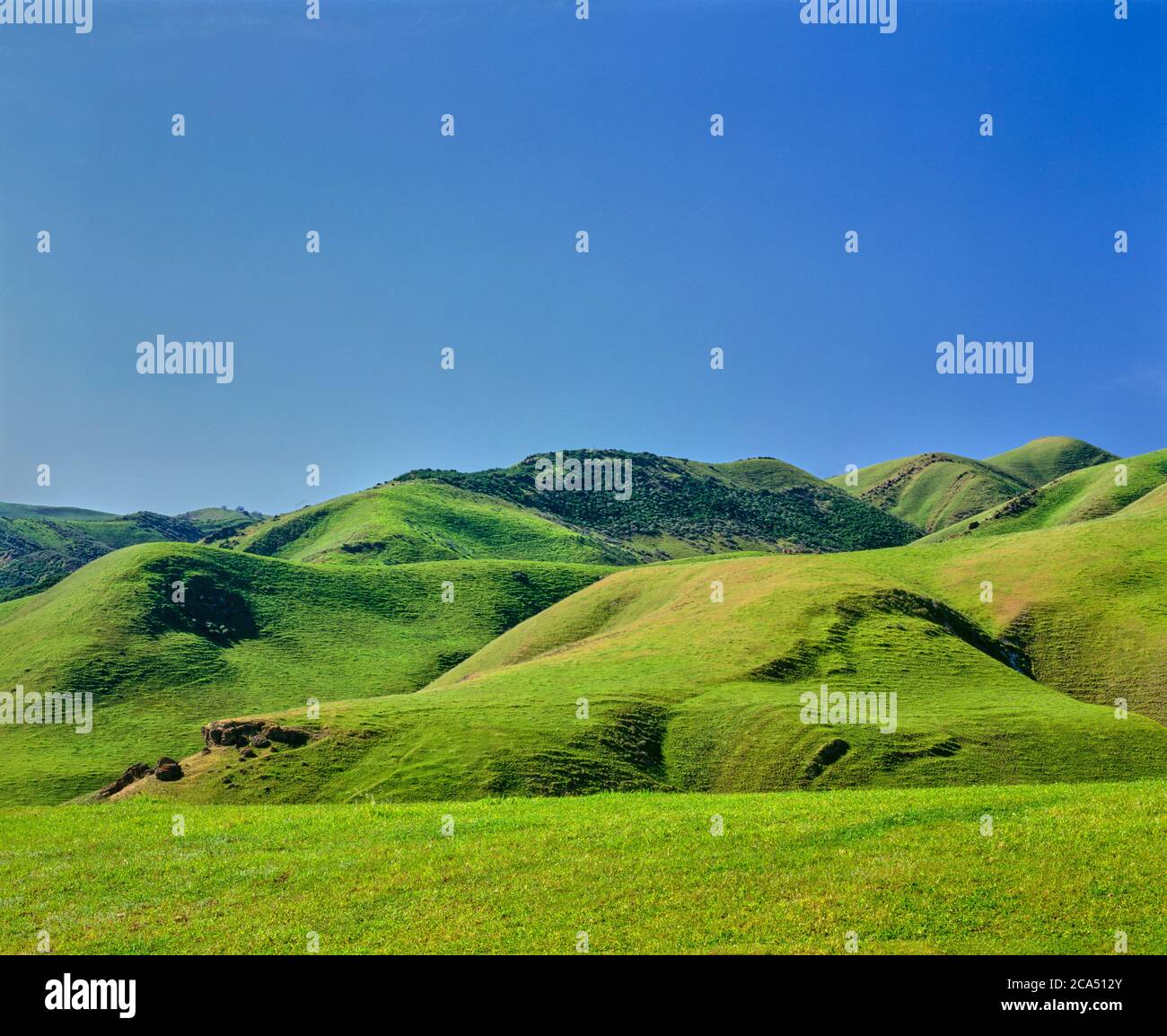Clear sky over green rolling hills of Puerto Canyon, California, USA Stock Photo