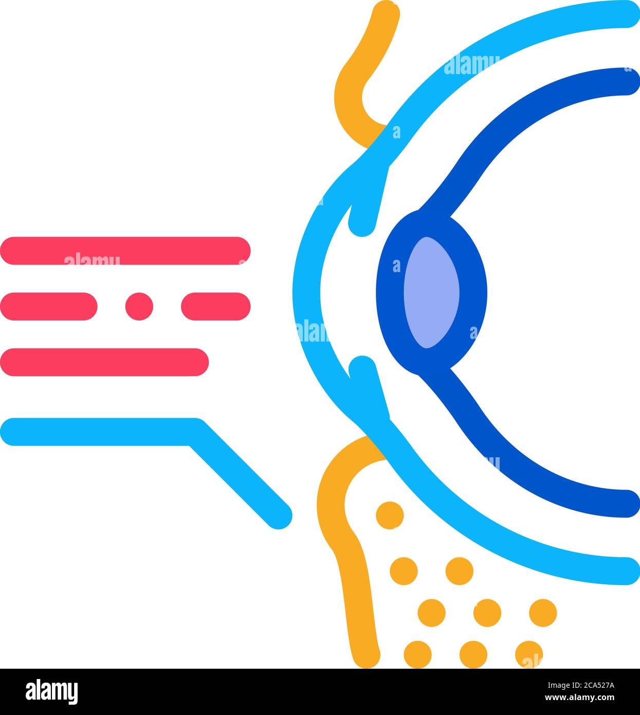 medical eyelid surgery icon vector outline illustration Stock Vector ...