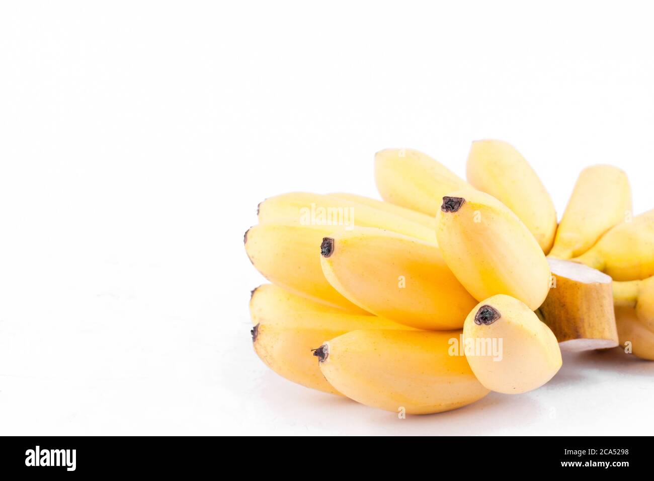 golden bananas or egg bananas  are Musaceae family   on white background healthy Pisang Mas Banana fruit food isolated Stock Photo