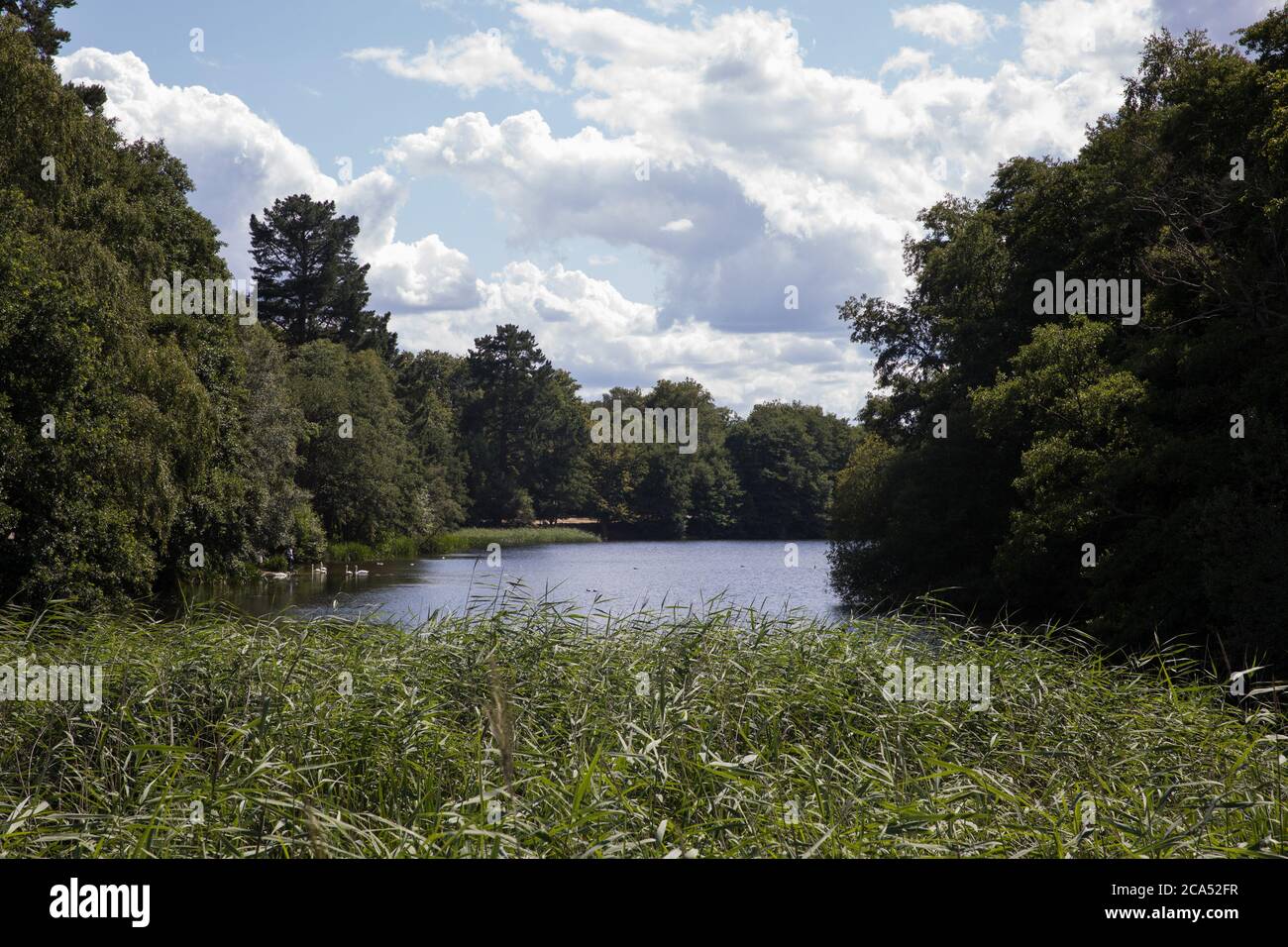 Egham, UK. 3rd August, 2020. Virginia Water Lake is pictured from the ...