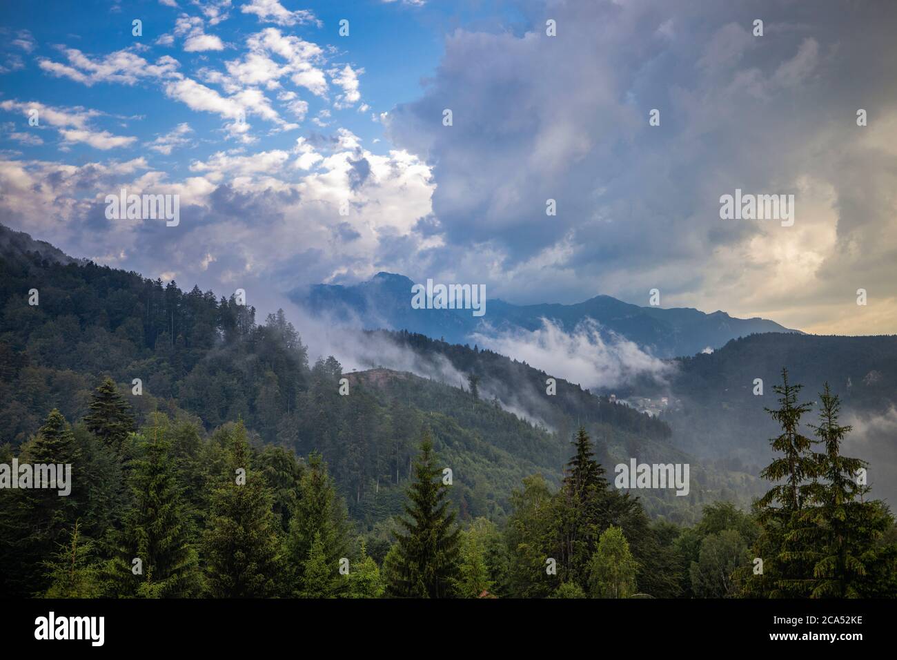 Beautiful landscape with pine forest in the mountains and clouds Stock ...