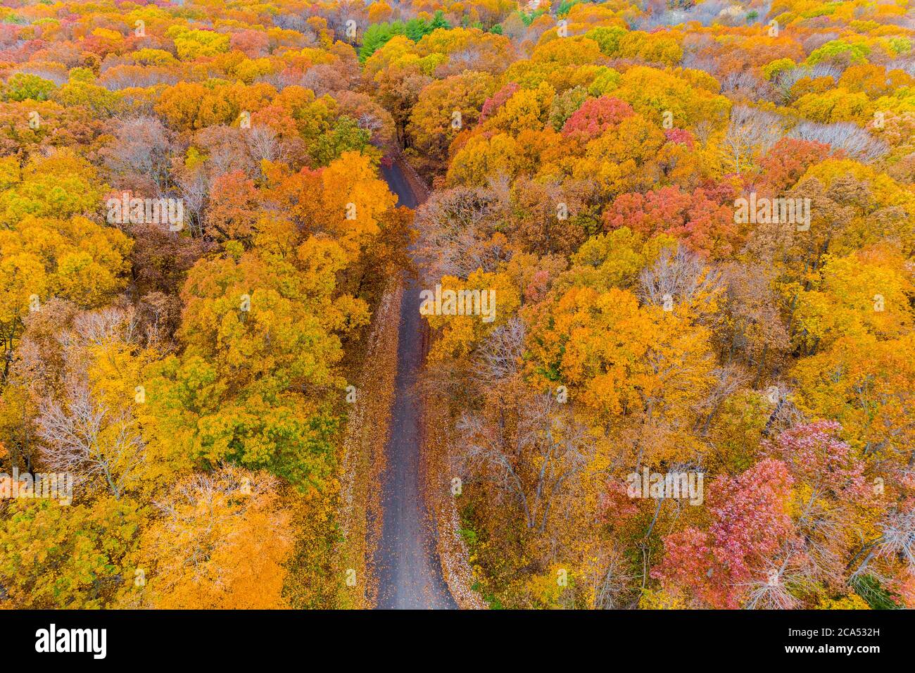 Aerial view of colorful trees in forest, Stephen A. Forbes State Park, Marion Co., Illinois, USA Stock Photo