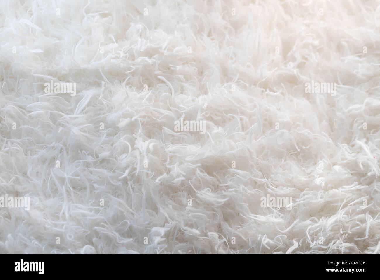 Close up at white fur fabric texture background. Stock Photo