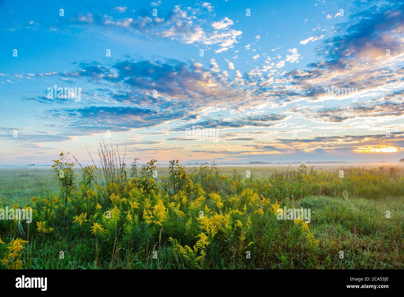 View of prairie, Prairie Ridge State Natural Area, Marion Co., Illinois, USA Stock Photo